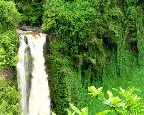 Maui, HI, Statele Unite ale Americii