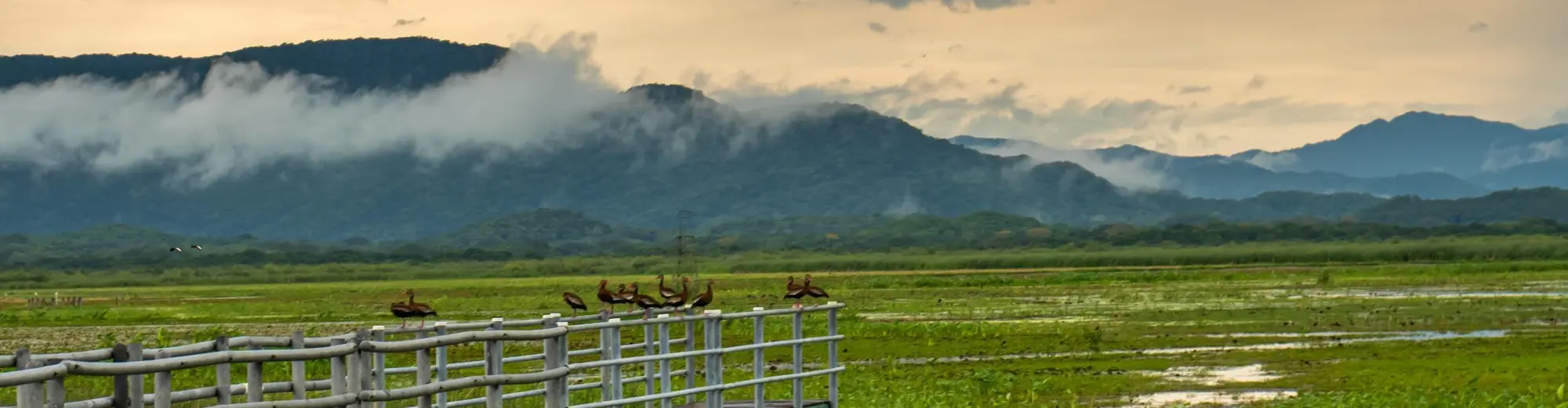 Пуерто Виего Сарапики, Коста Рика