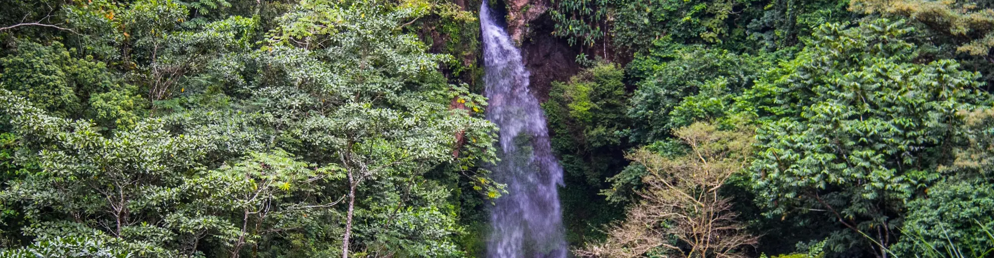 佩诺诺梅, 巴拿马