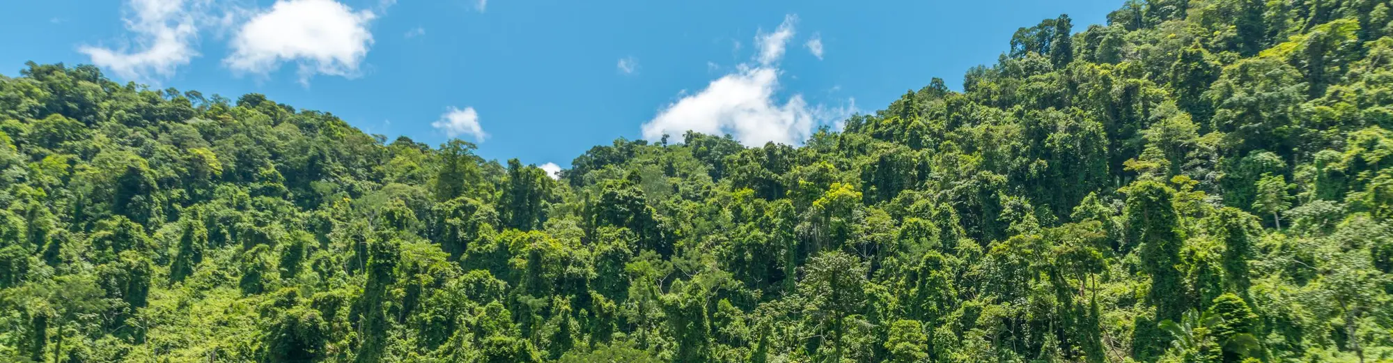 Fiume Dulce, Guatemala