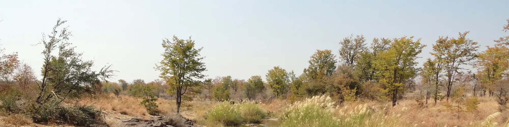 ワンゲ, ジンバブエ