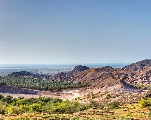 Sir Bani Yas Island, Förenade arabemiraten