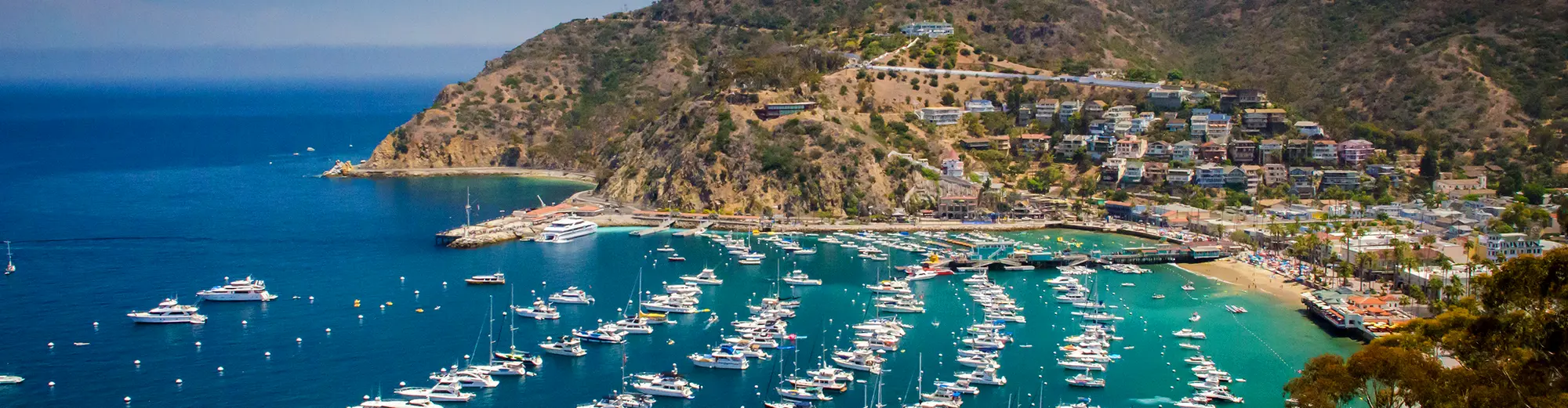 Santa Catalina Island CA, United States of America