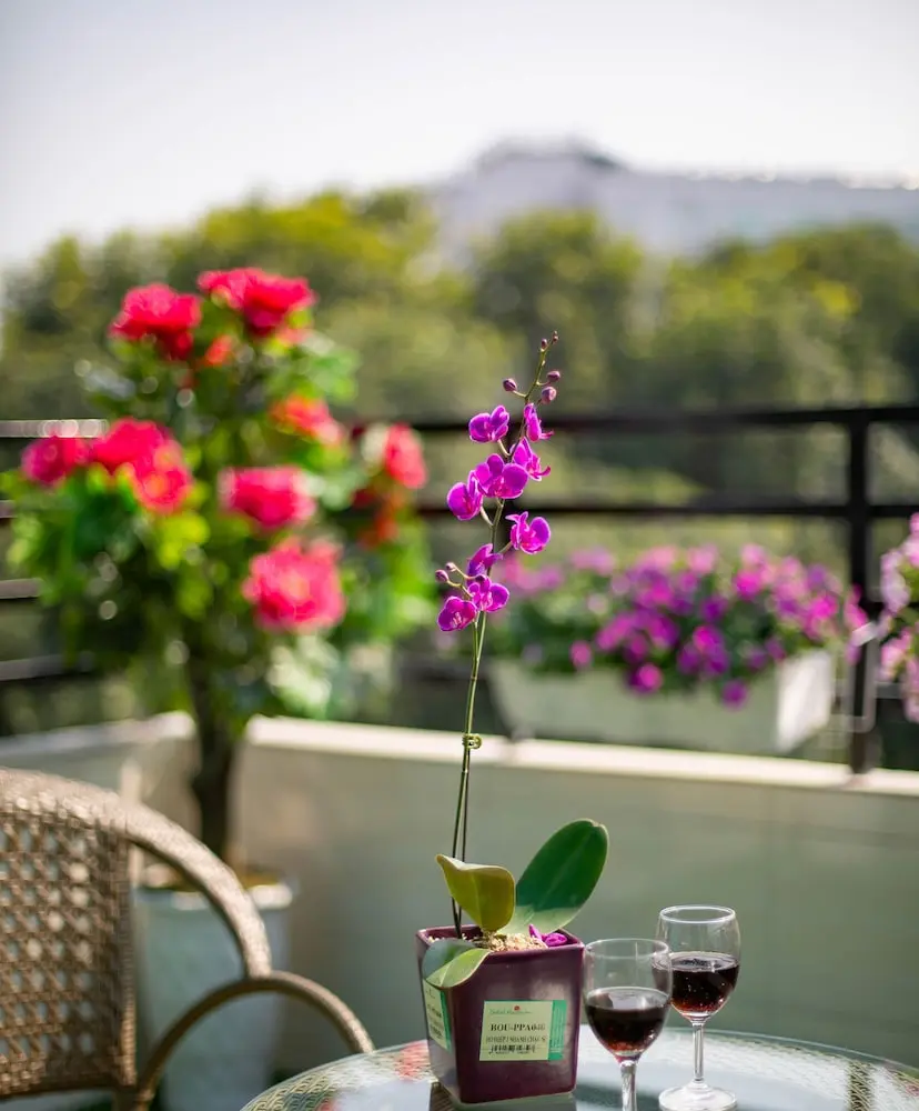 Hanoi Lotus Boutique Hotel, Balcony