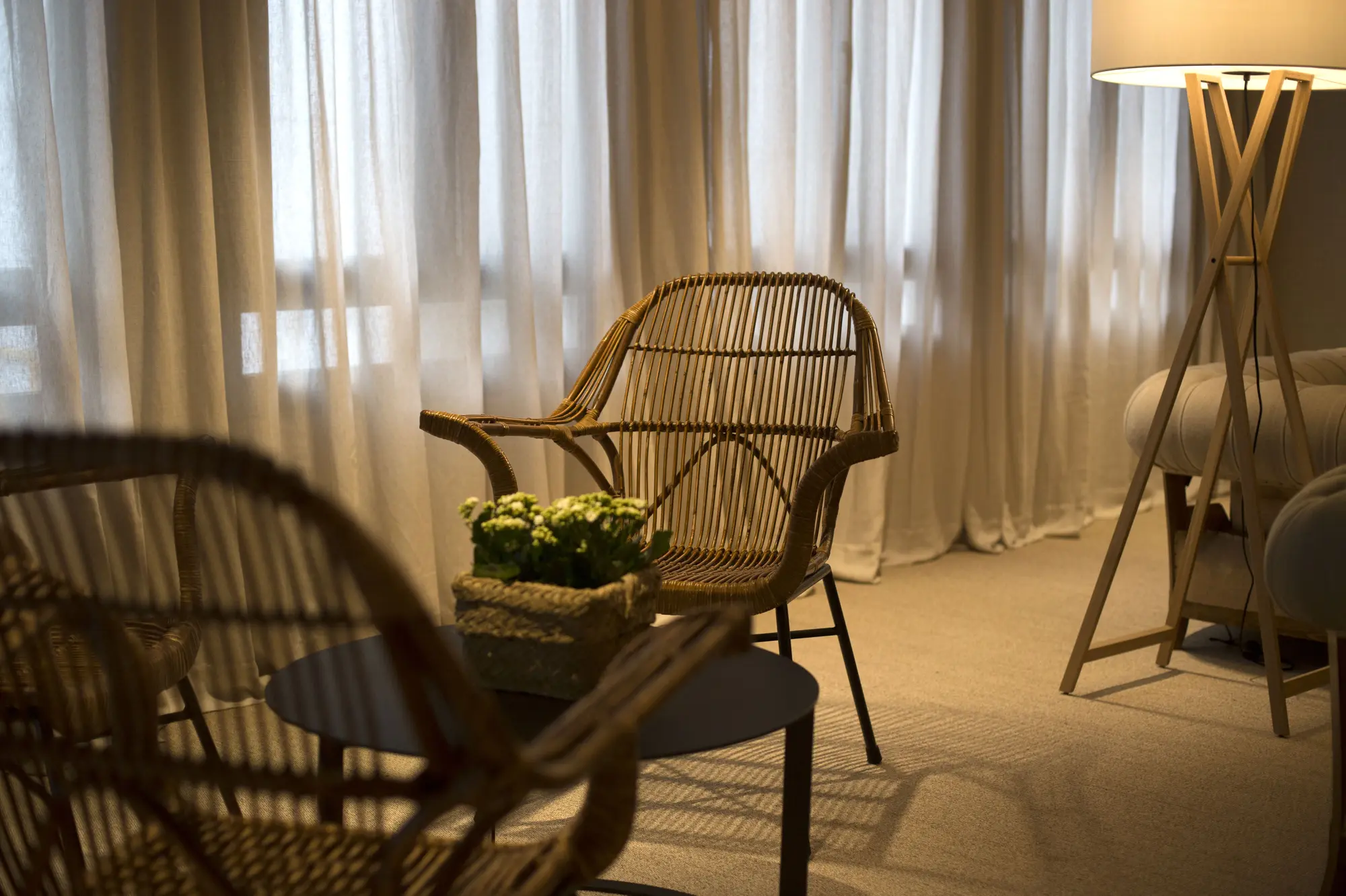 Zenit Sevilla, Lobby
