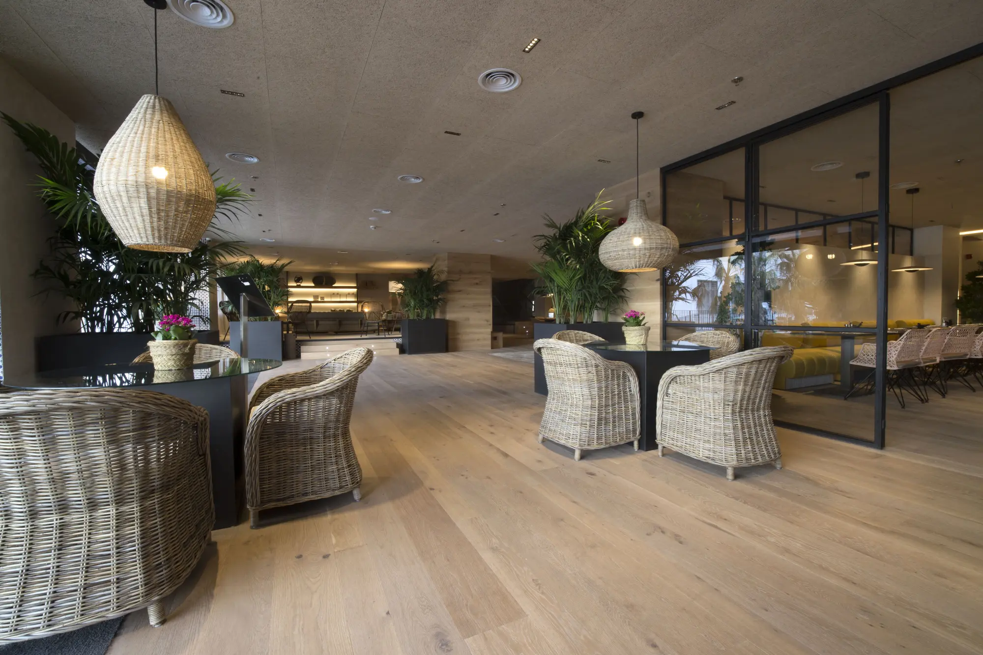 Zenit Sevilla, Lobby