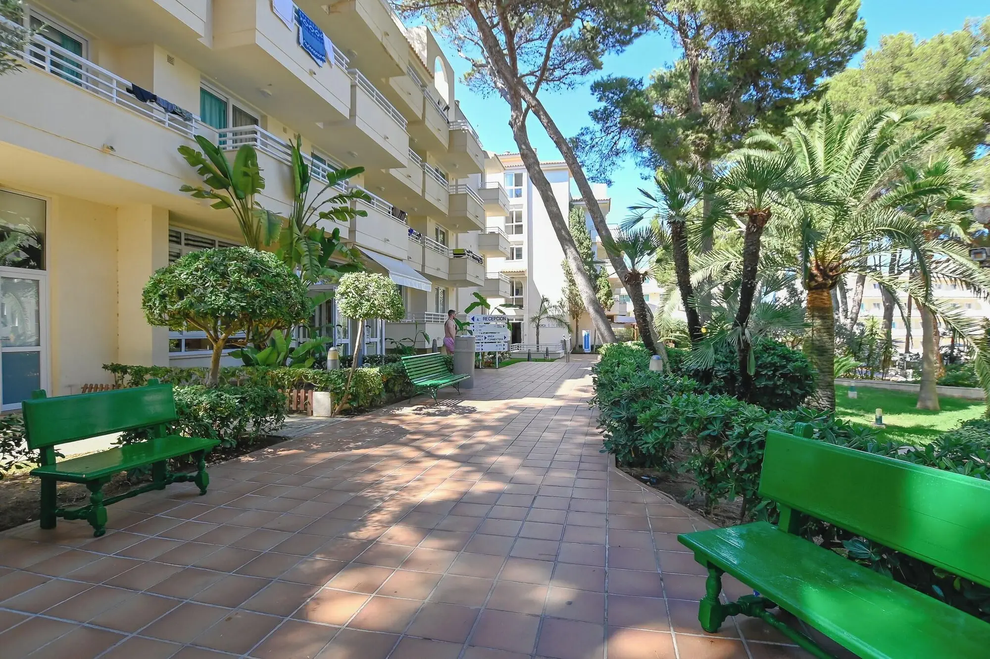 Club Hotel Cala Ratjada, Terrace