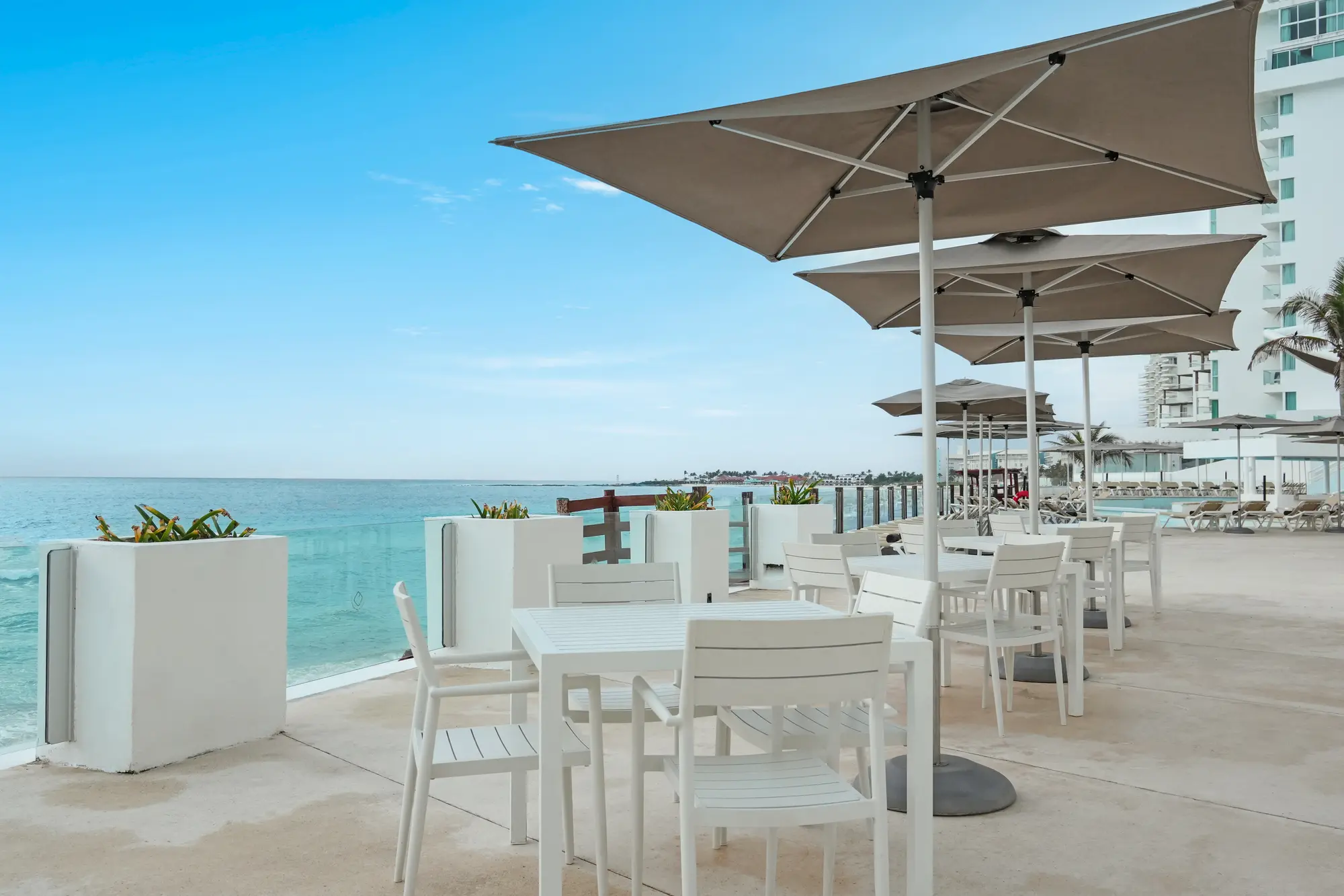Oleo Cancun Playa, Restaurant