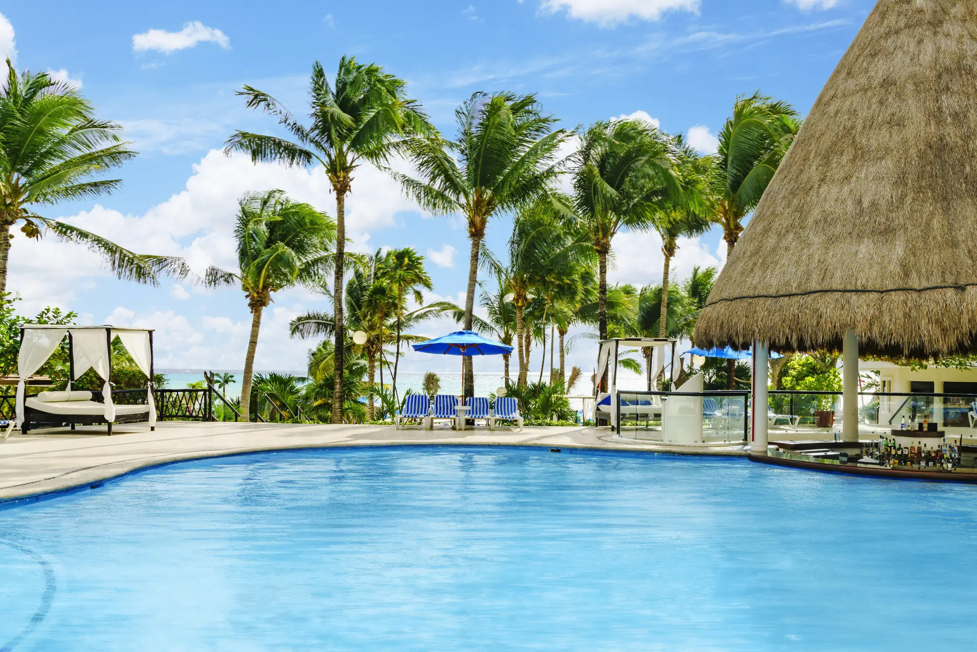 The Reef Playacar, Pool