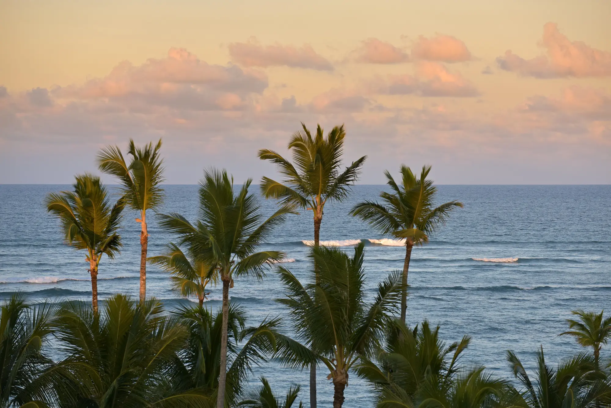 Iberostar Waves Dominicana All Inclusive, Beach