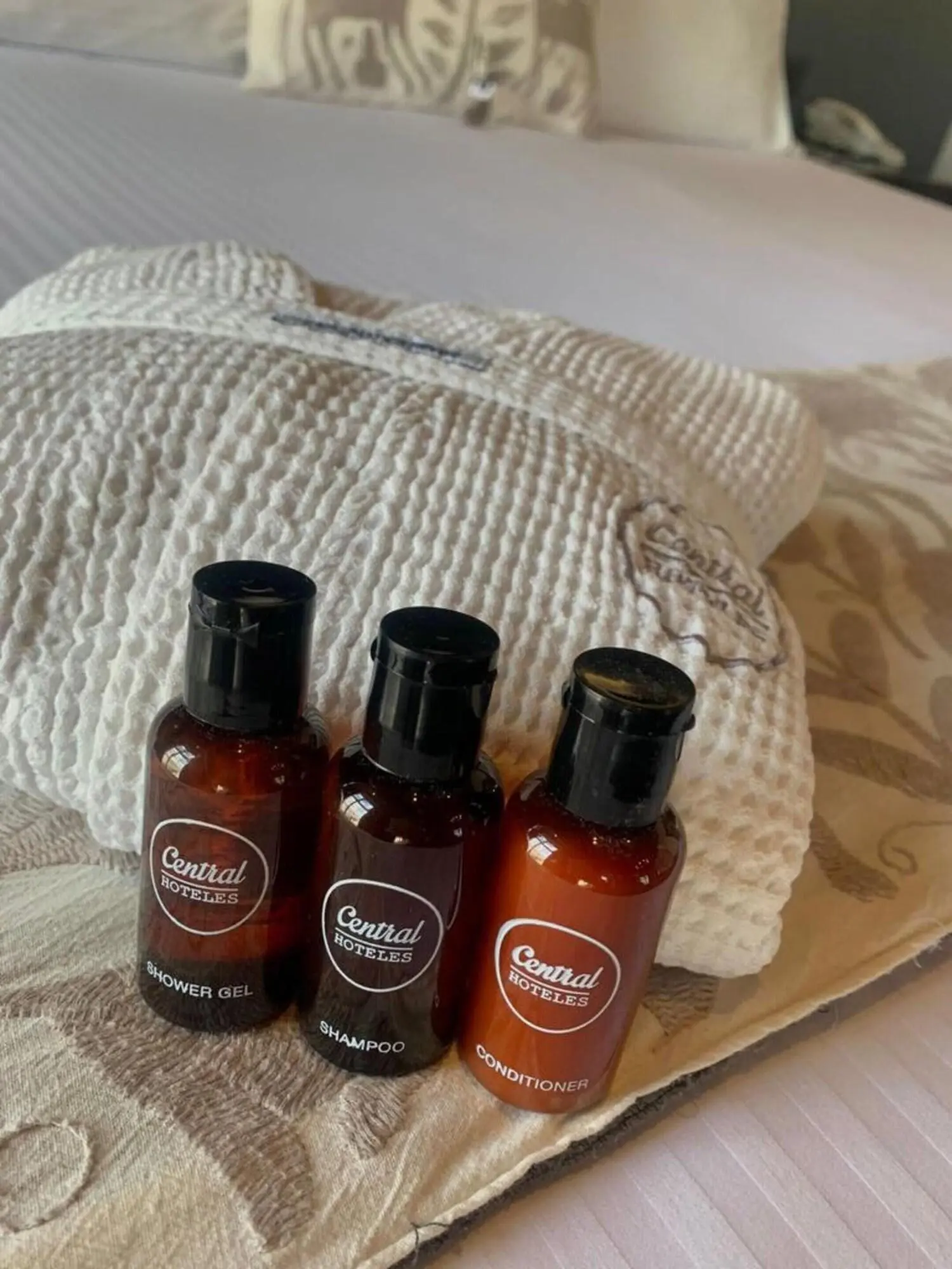 Zocalo Central, Food & Beverages Included, Room