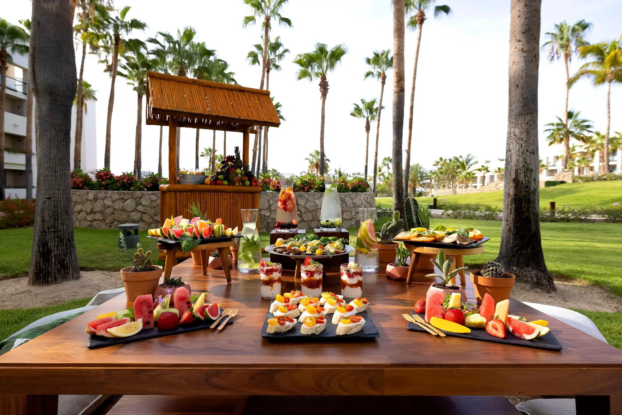 PARADISUS LOS CABOS-Adults Only, General view