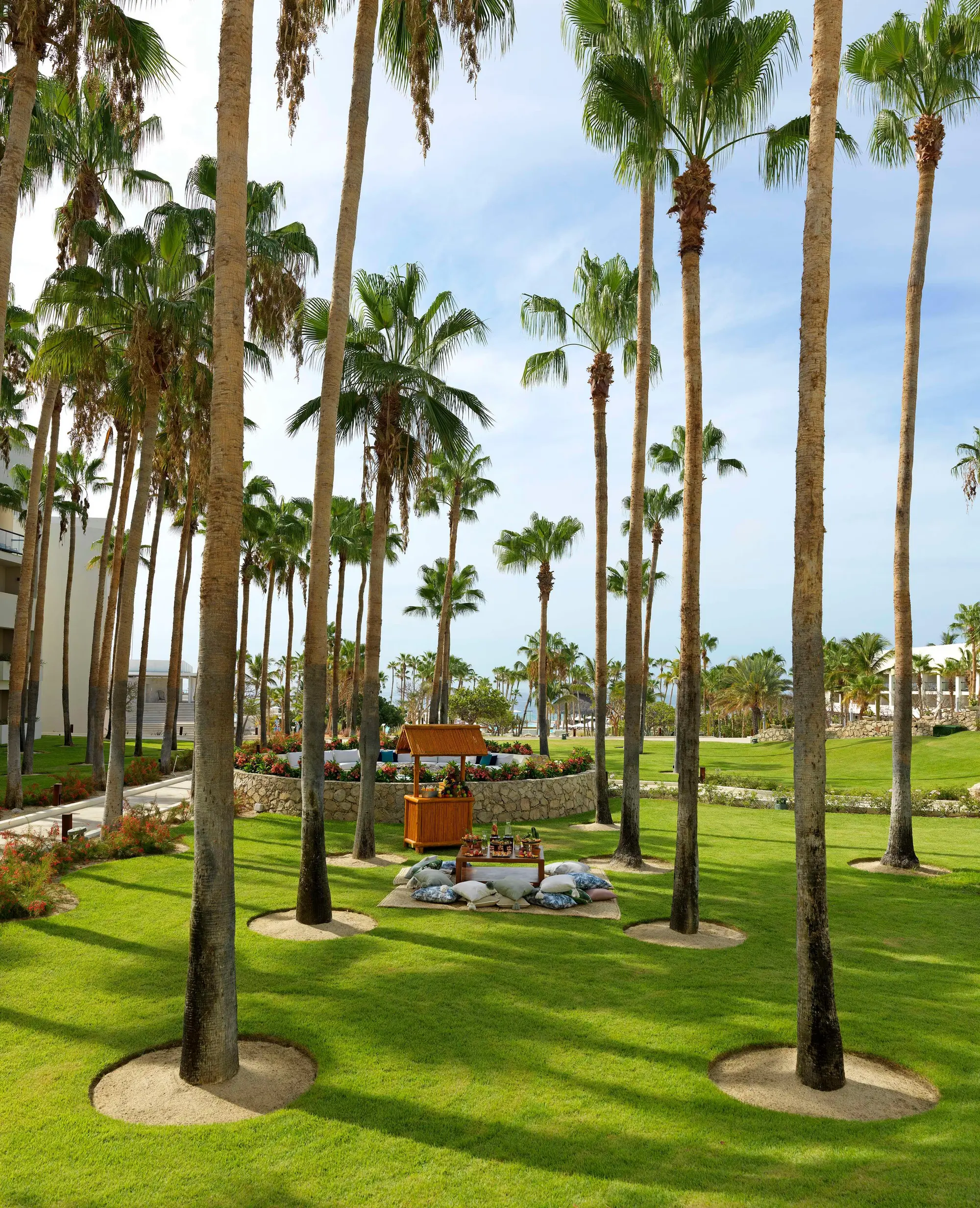 PARADISUS LOS CABOS-Adults Only, General view