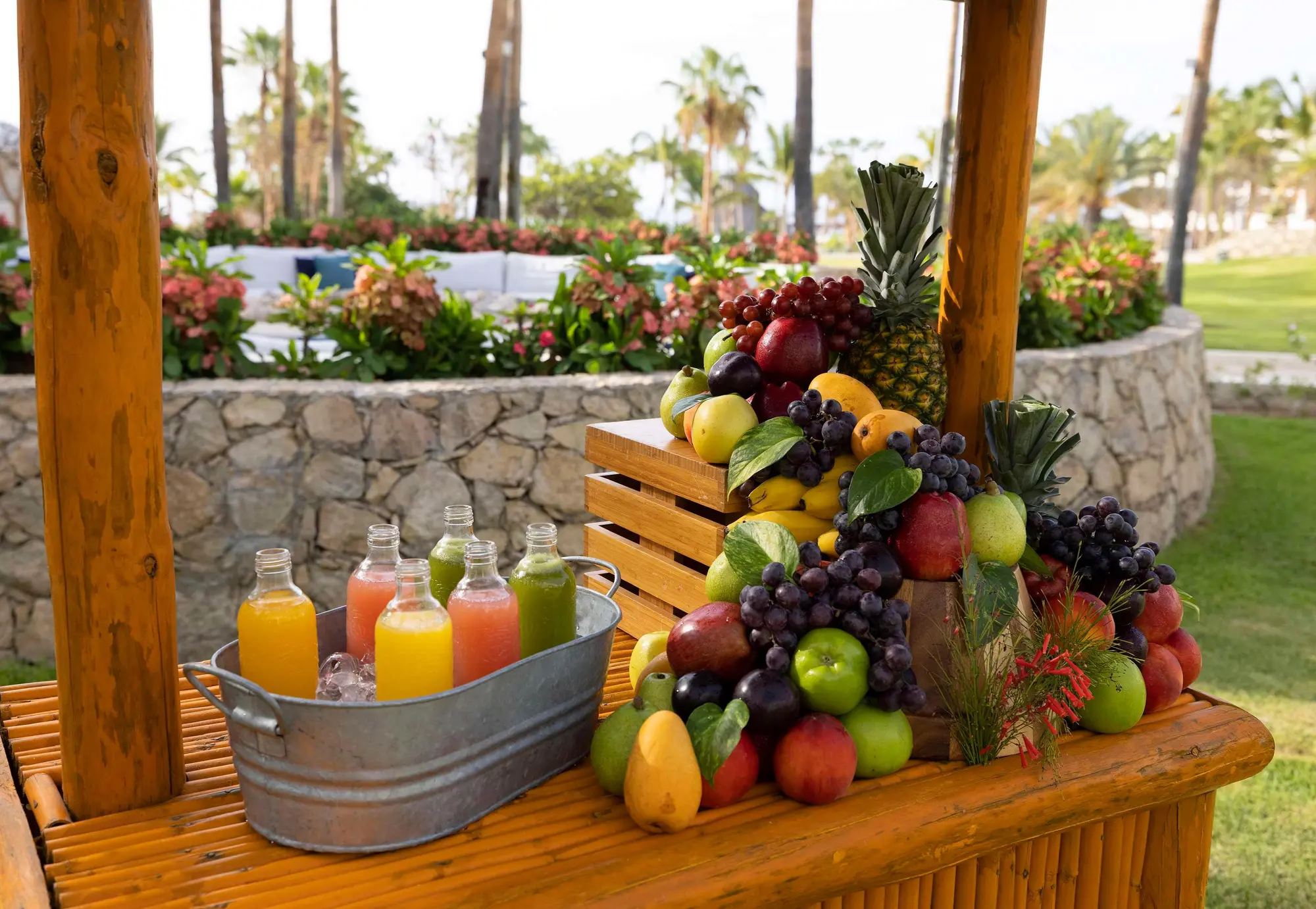PARADISUS LOS CABOS-Adults Only, General view