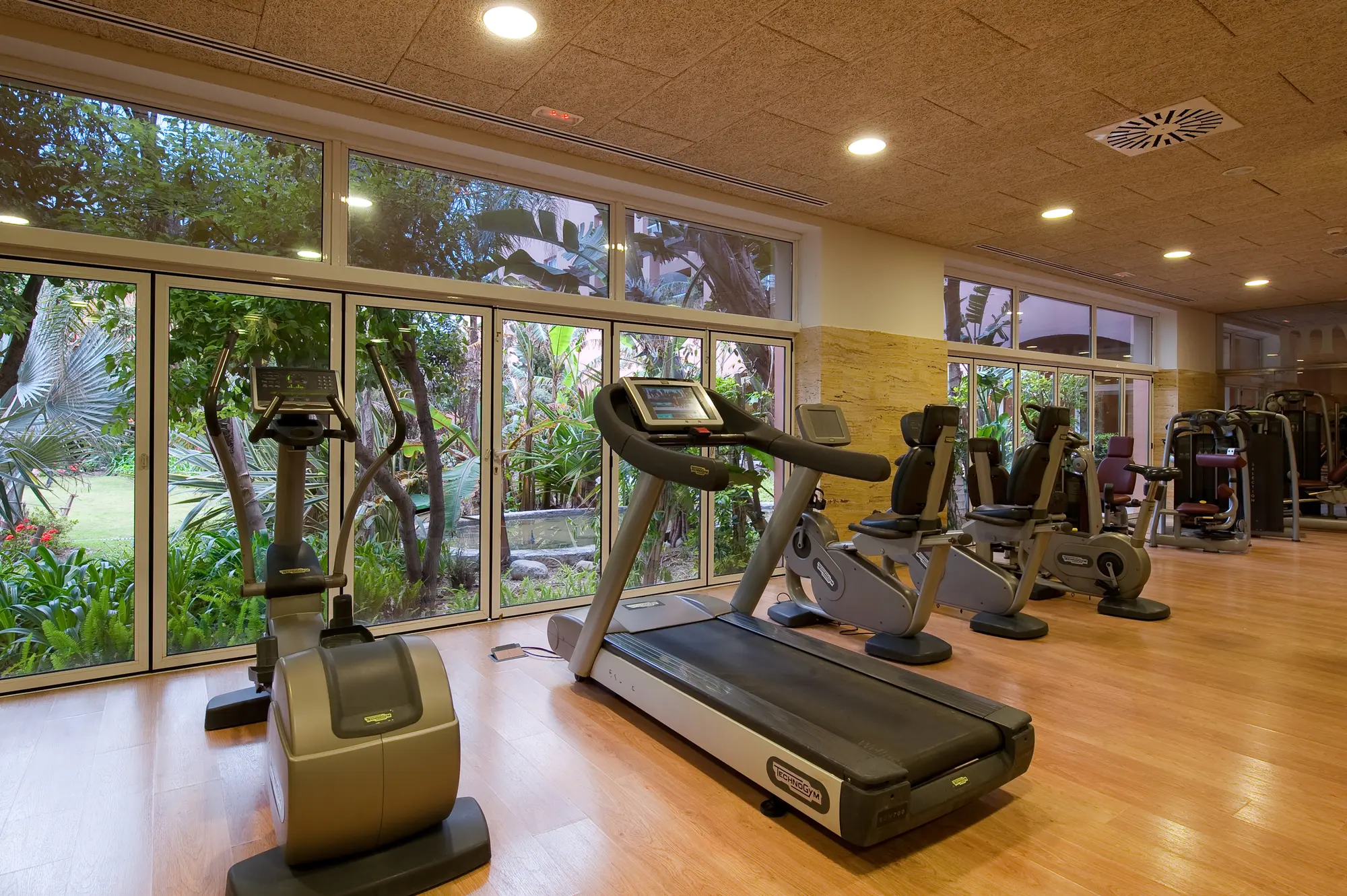 Elba Estepona Gran Hotel & Thalasso Spa, Sports and Entertainment