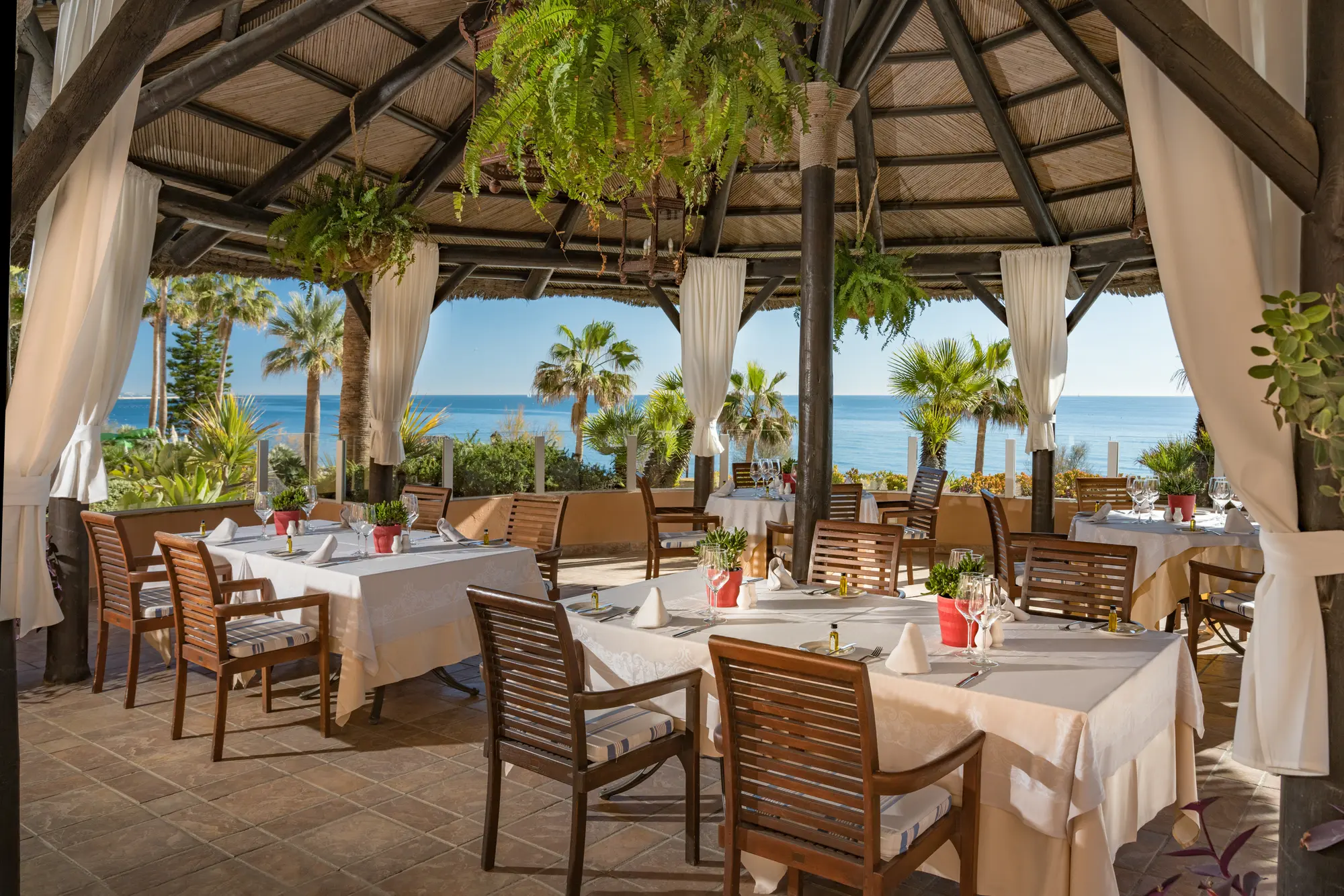 Elba Estepona Gran Hotel & Thalasso Spa, Terrace