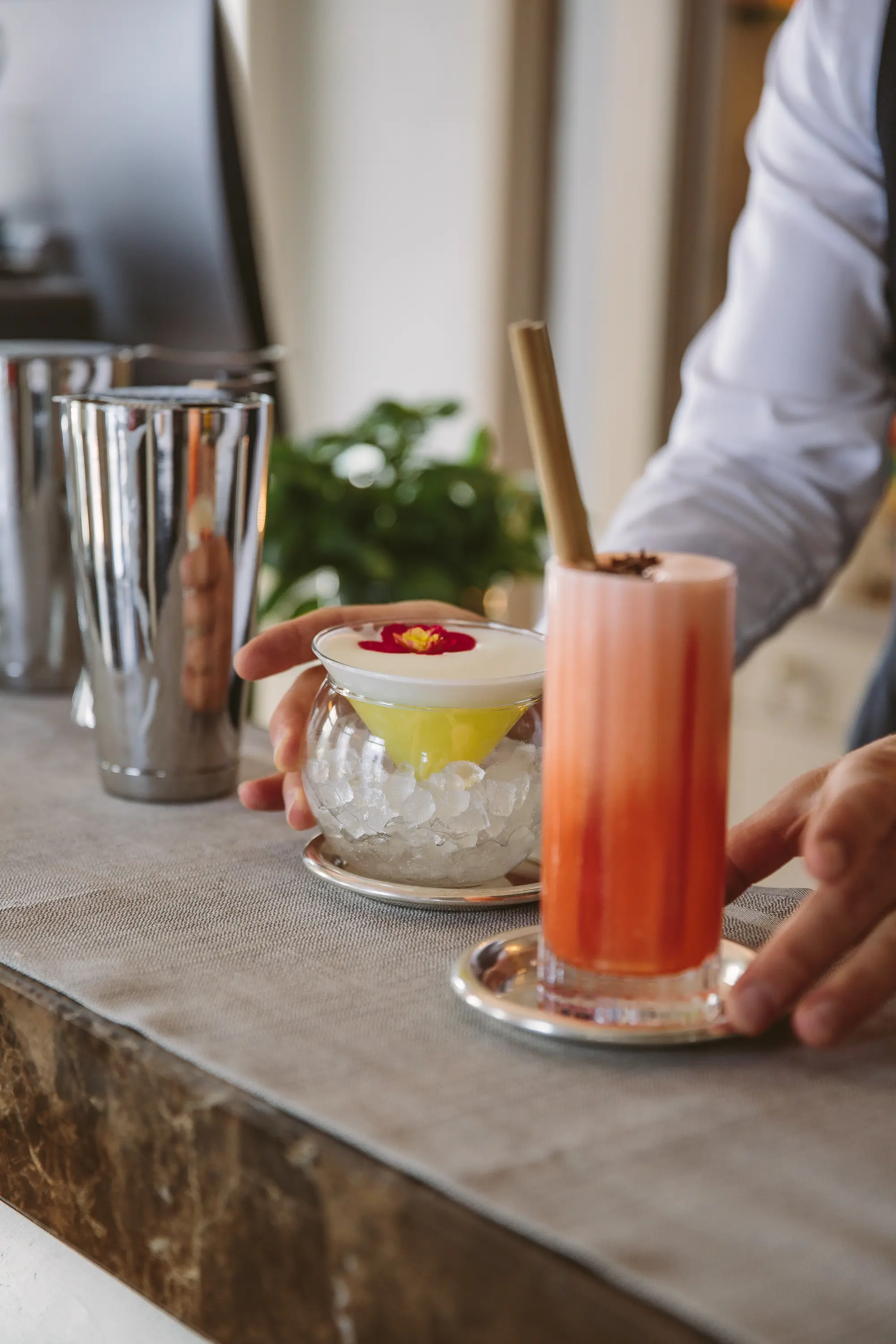 Villa Flori, Bar
