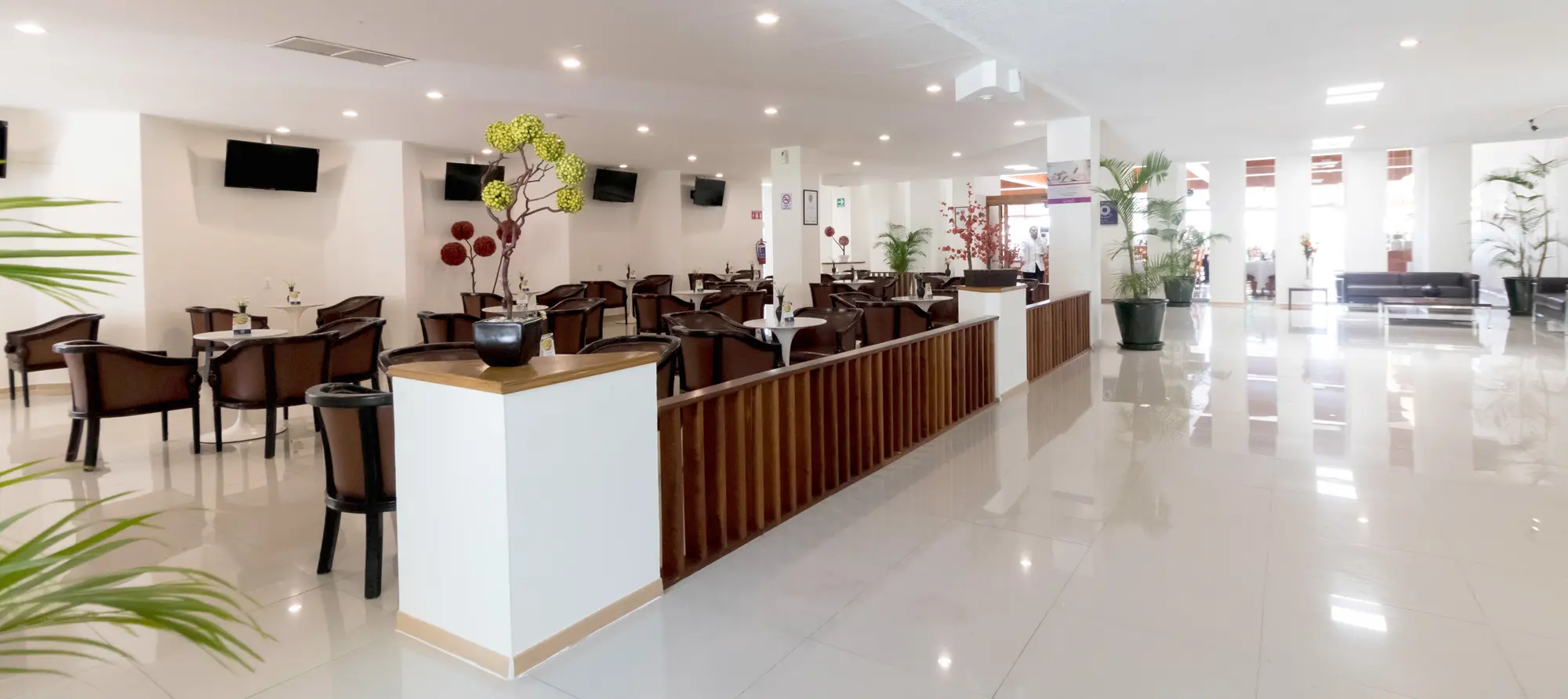 Misión Oaxaca, Lobby