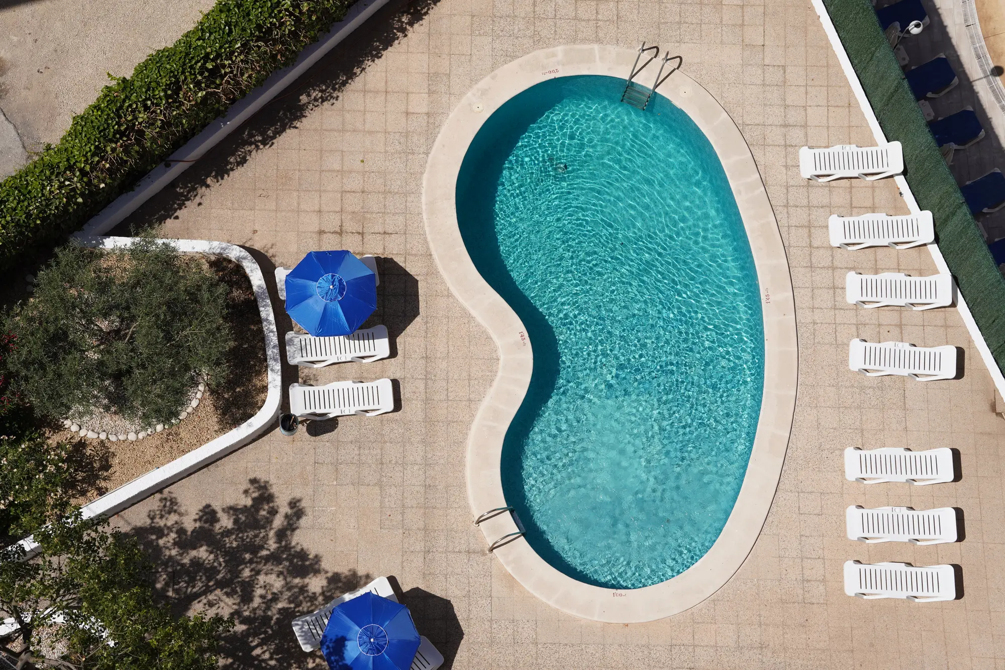 Don Gregorio, Pool