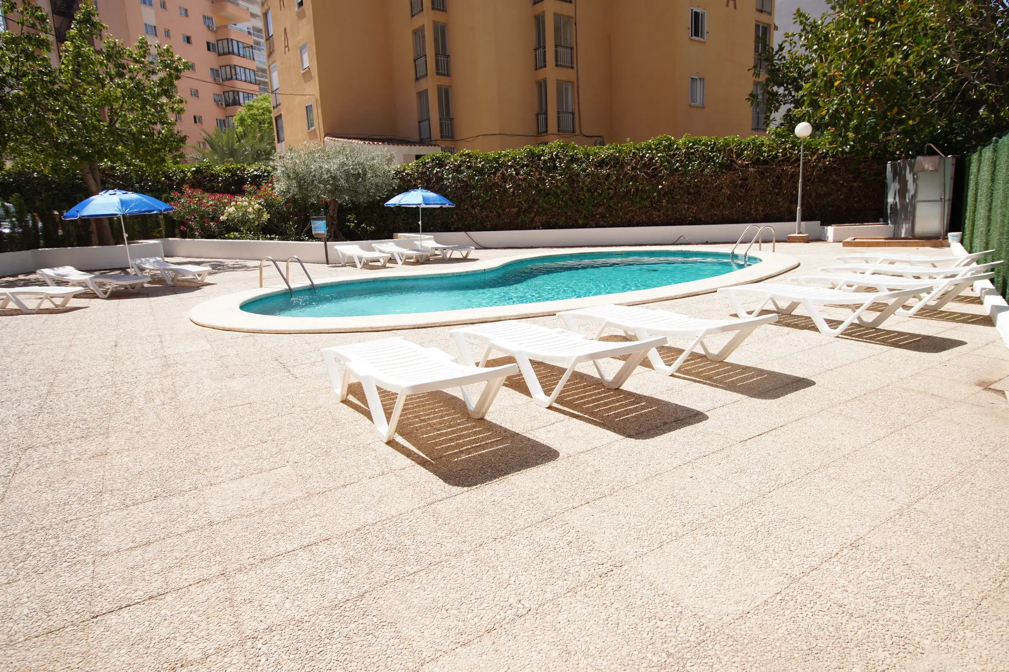 Don Gregorio, Pool