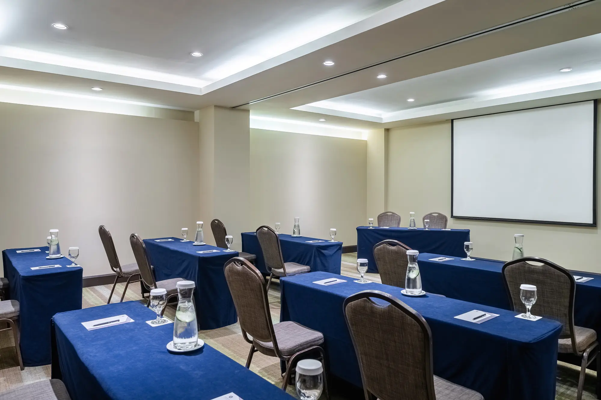 Hyatt Regency Merida, Conferences