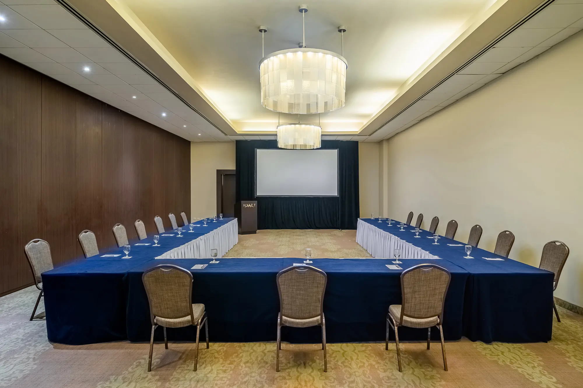 Hyatt Regency Merida, Conferences