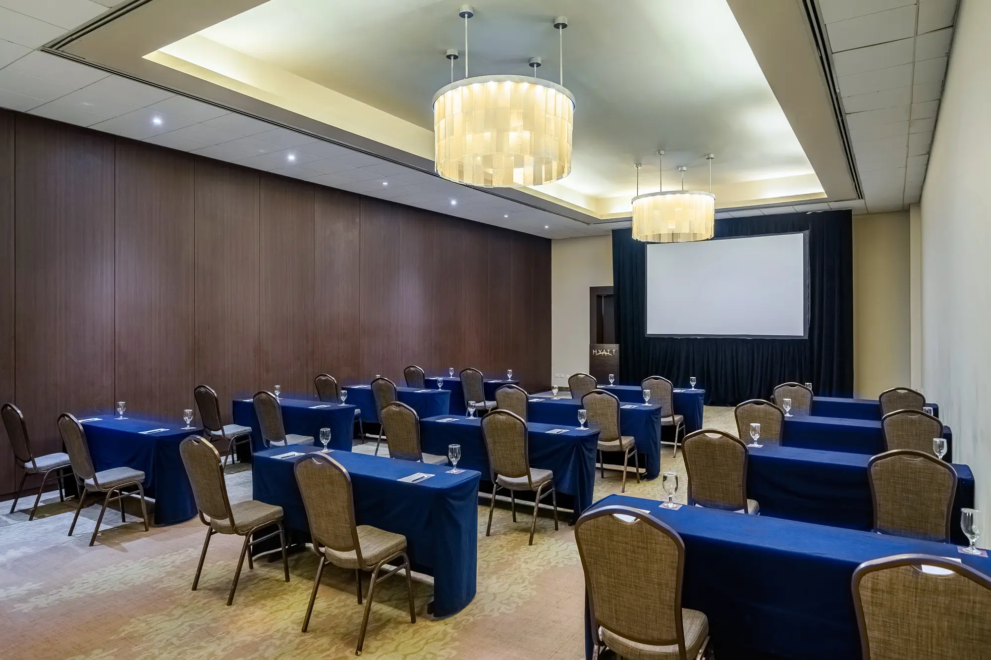 Hyatt Regency Merida, Conferences