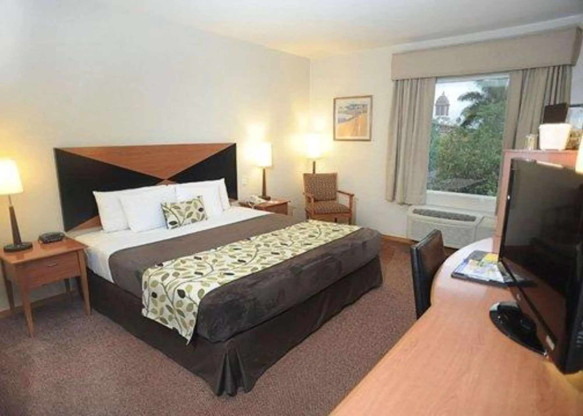 Sleep Inn Paseo Las Damas, Room