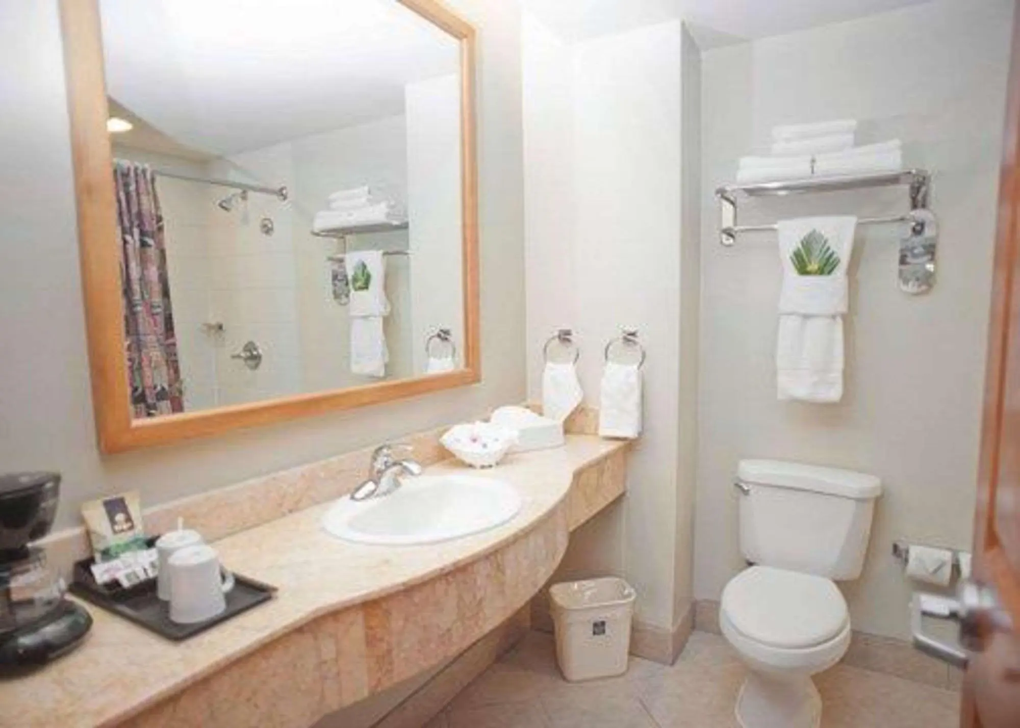 Sleep Inn Paseo Las Damas, Room