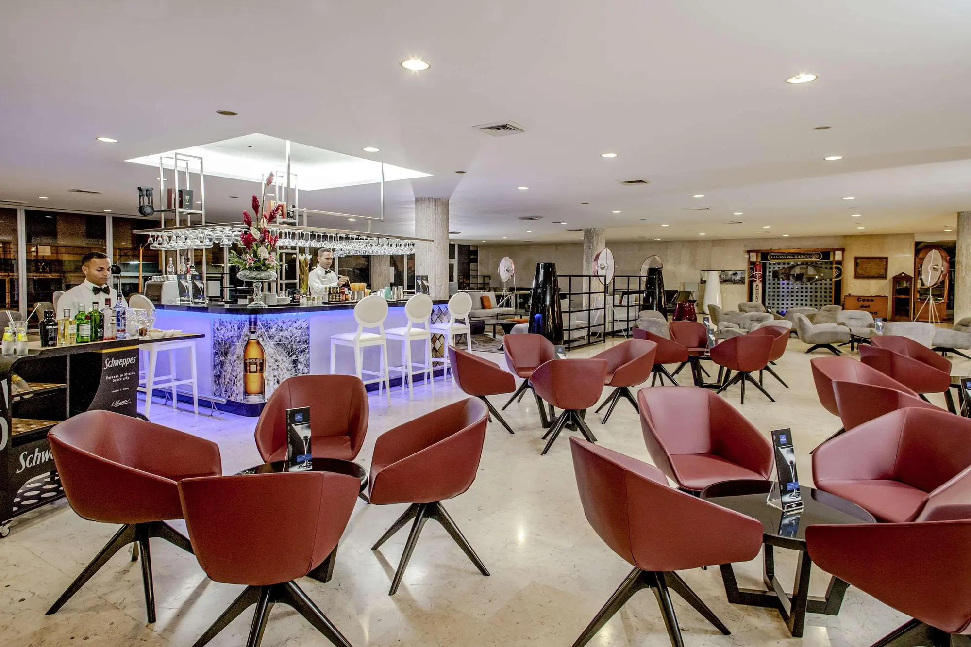 Tryp Habana Libre, Lobby