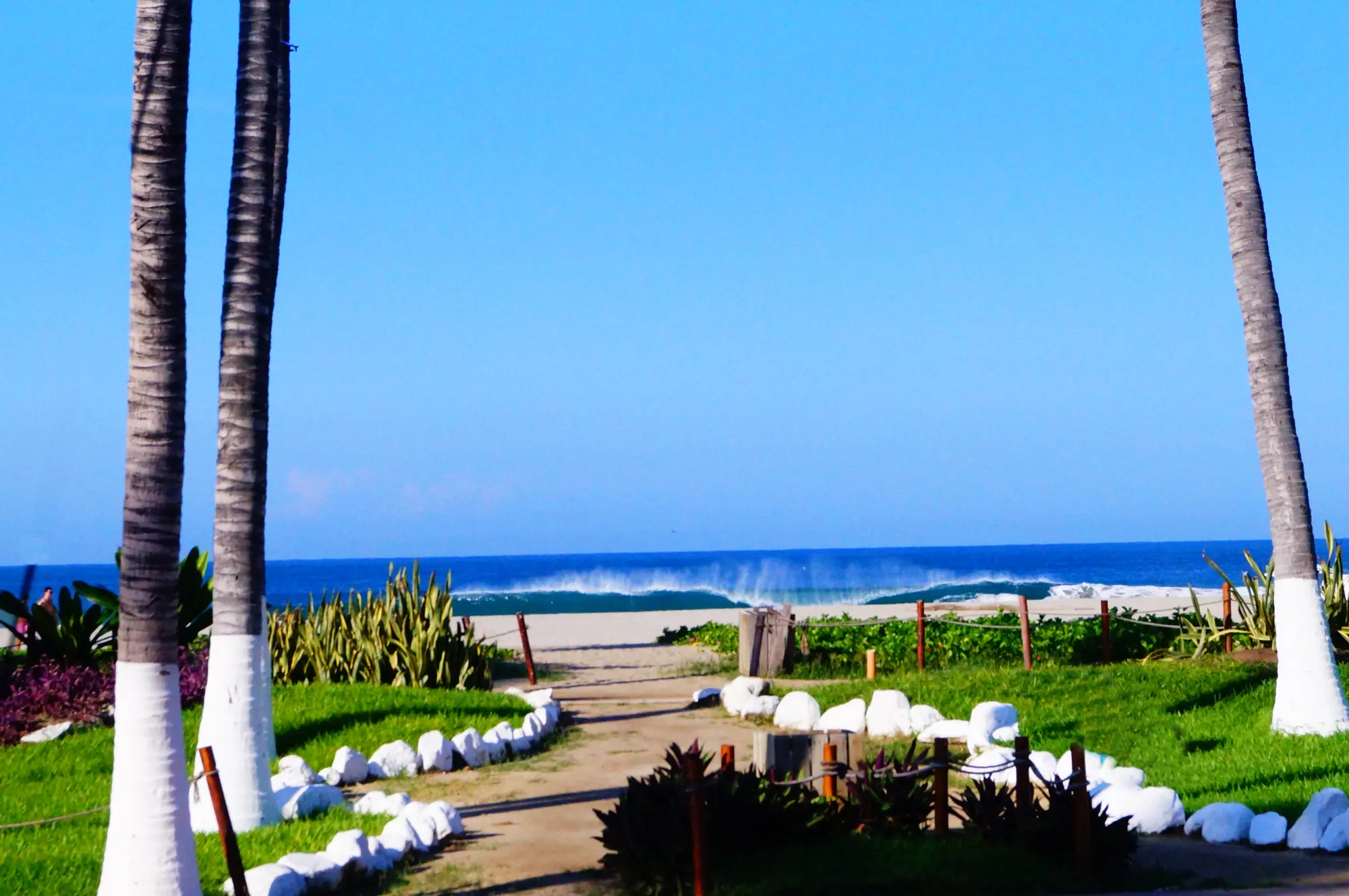 Surf Olas Altas, Restaurant