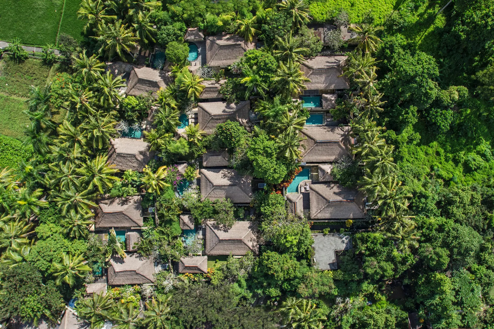 The Ubud Village Resort & Spa, General view