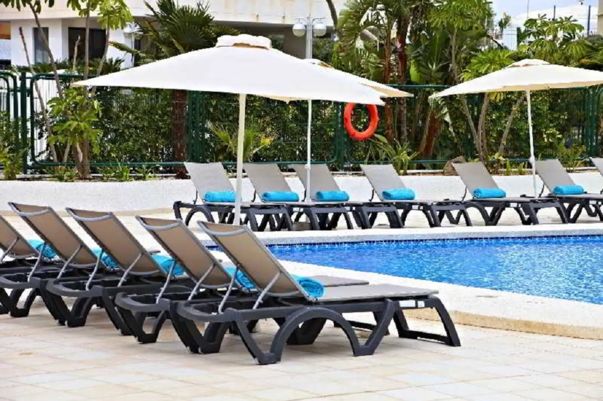 Flamingo Beach Resort Adults Only, Pool
