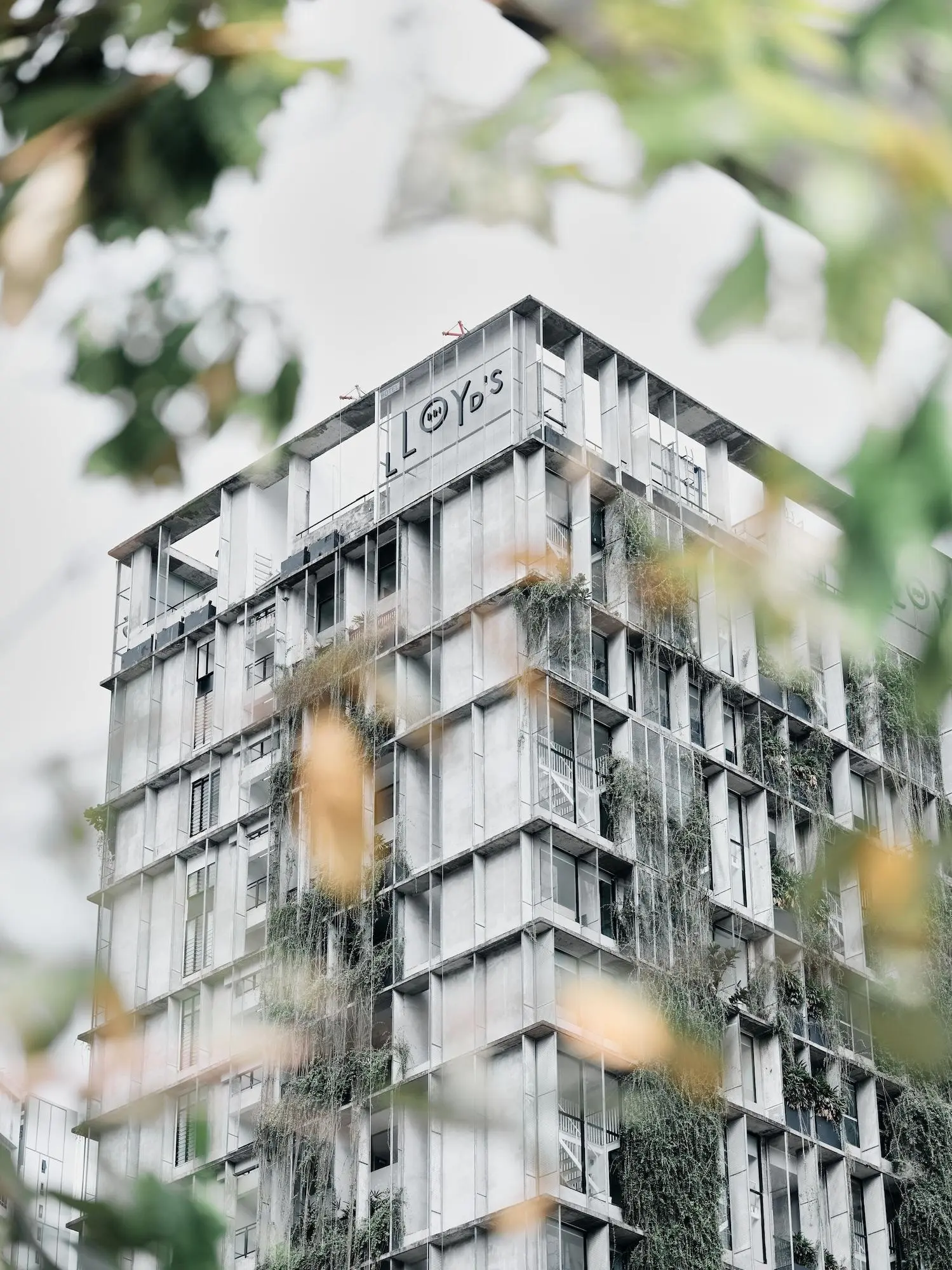Lloyd's Inn Kuala Lumpur, General view