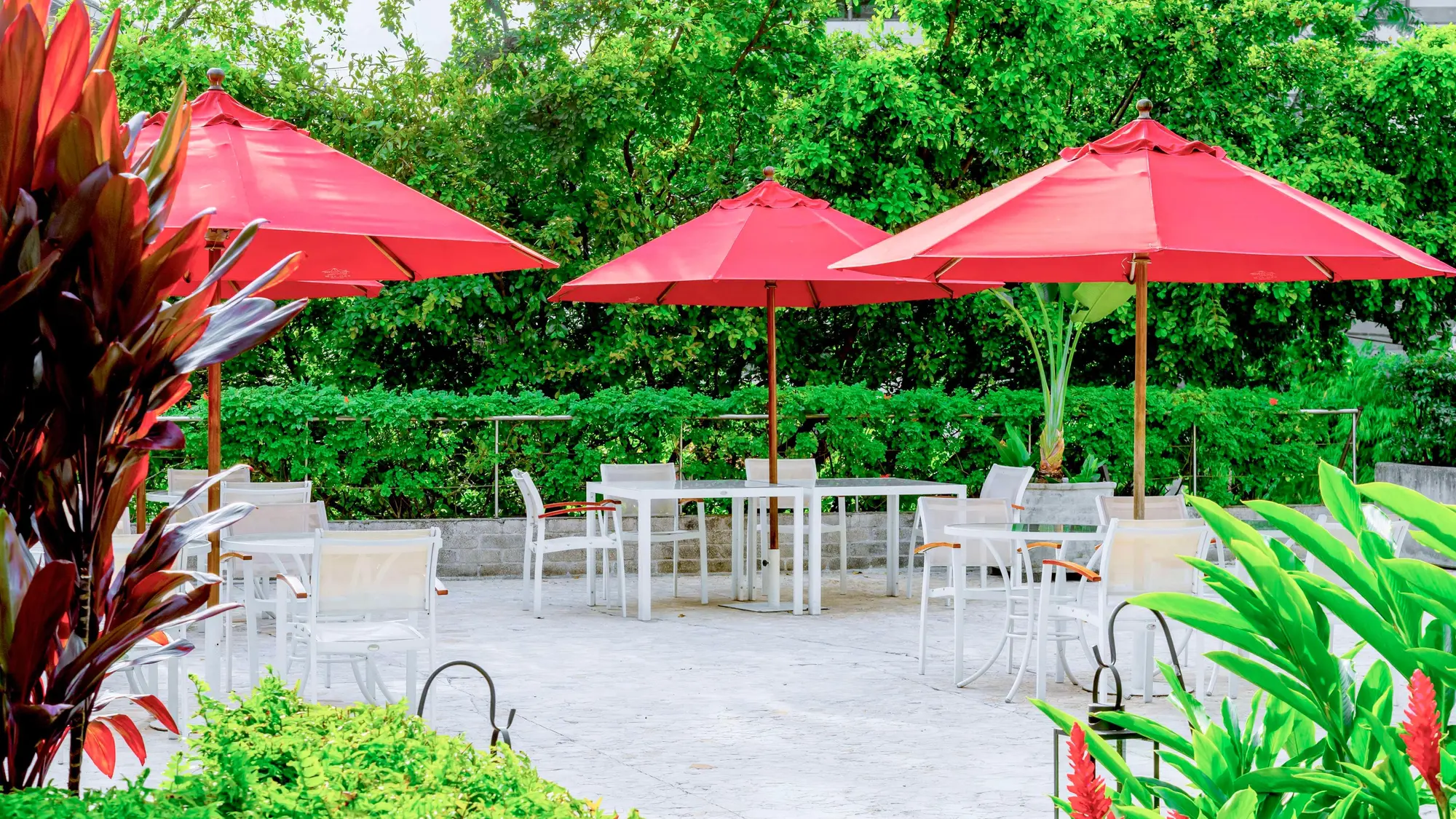 NH Collection Medellín Royal, Restaurant