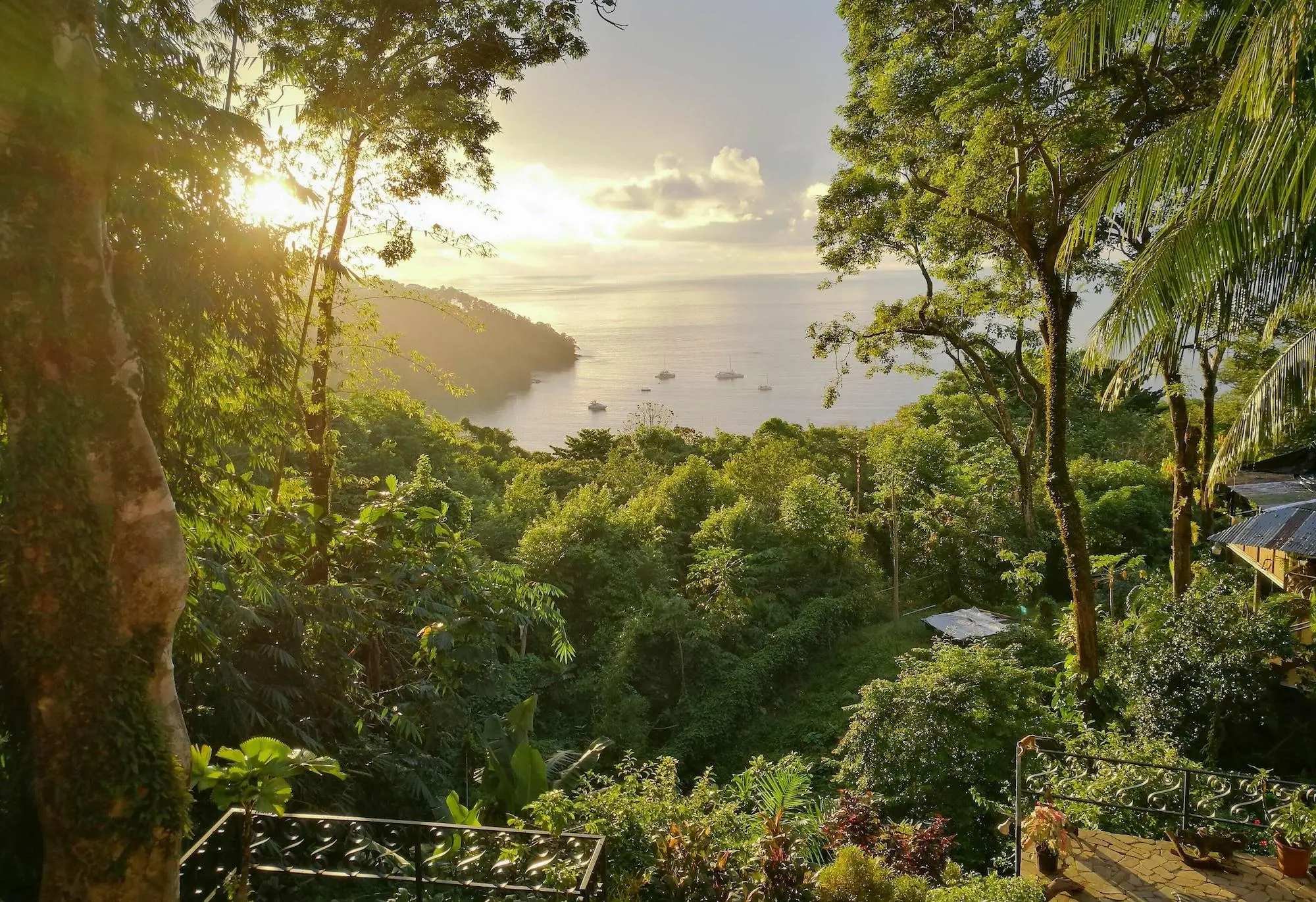 Mango Moon Villa, General view