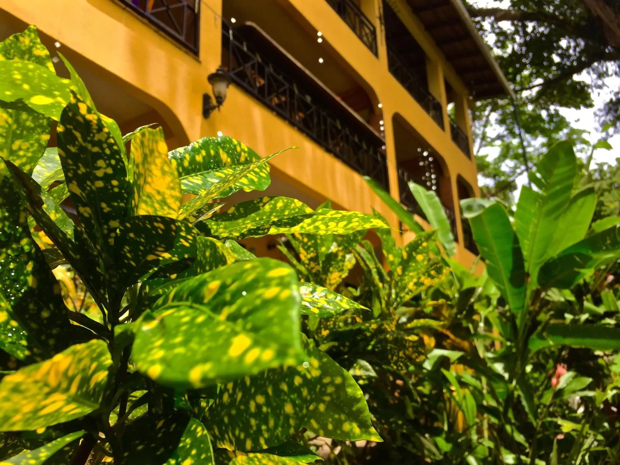 Mango Moon Villa, General view