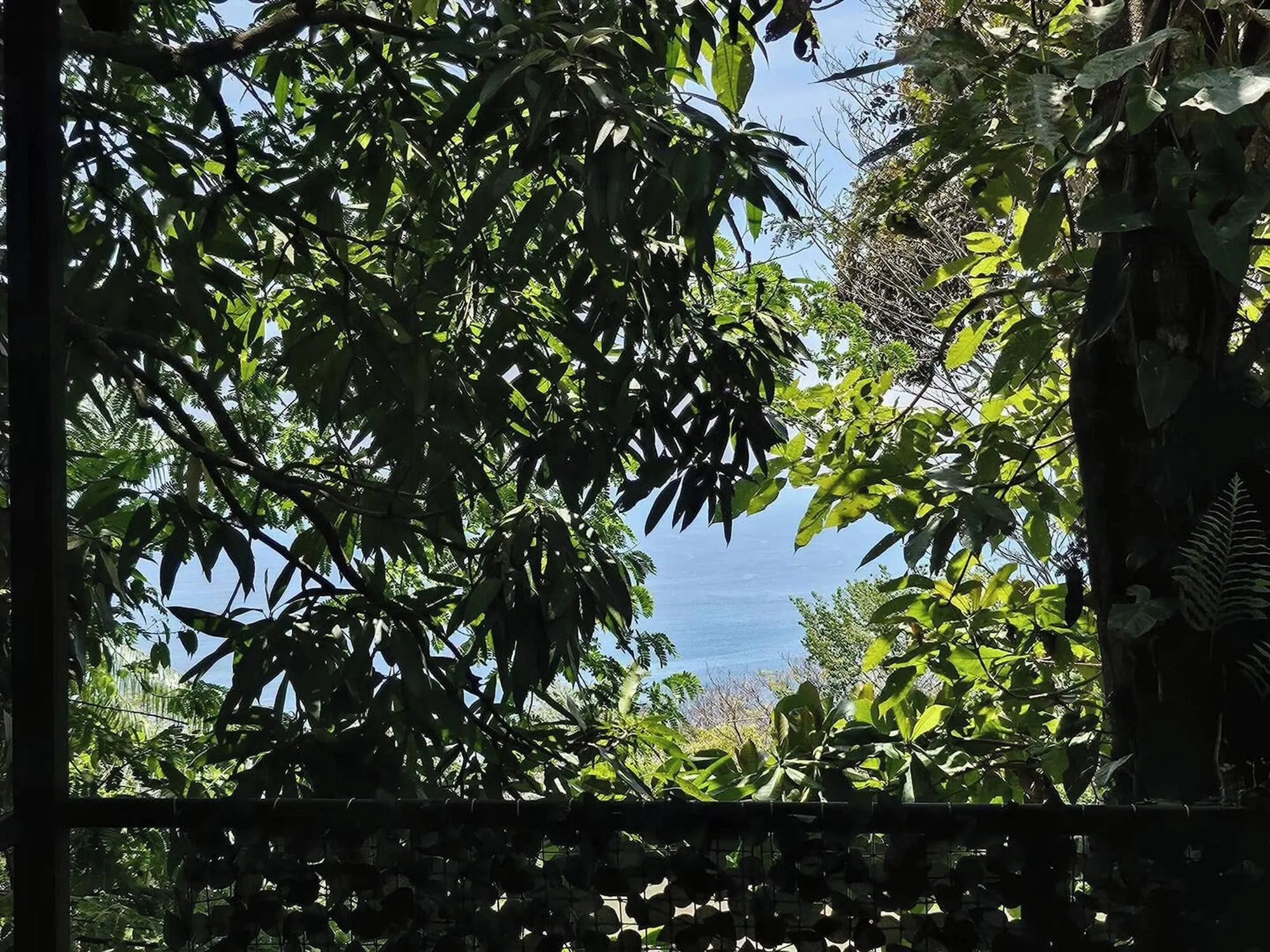 Mango Moon Villa, Room