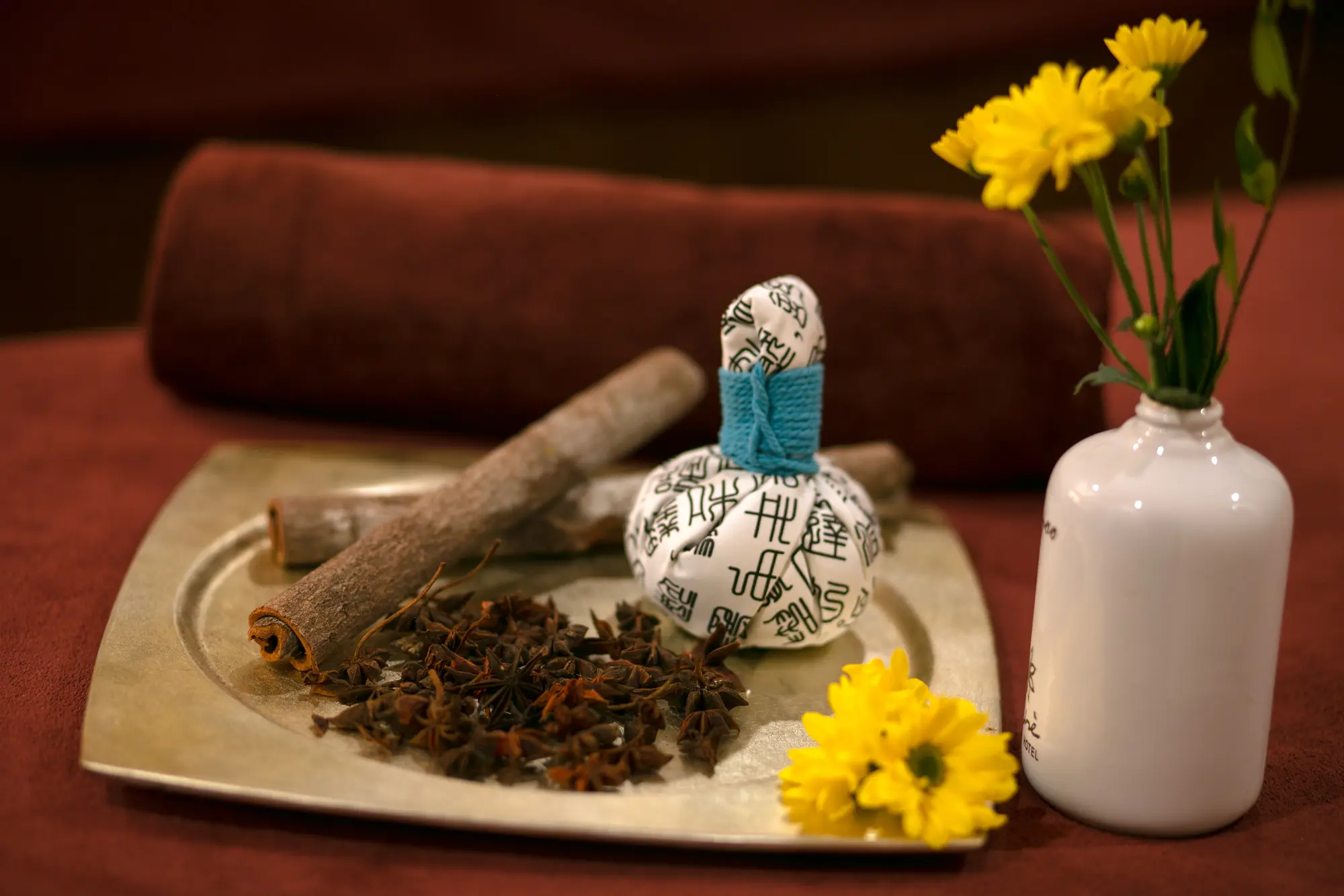 Anise Hanoi Hotel & Spa, Sports and Entertainment