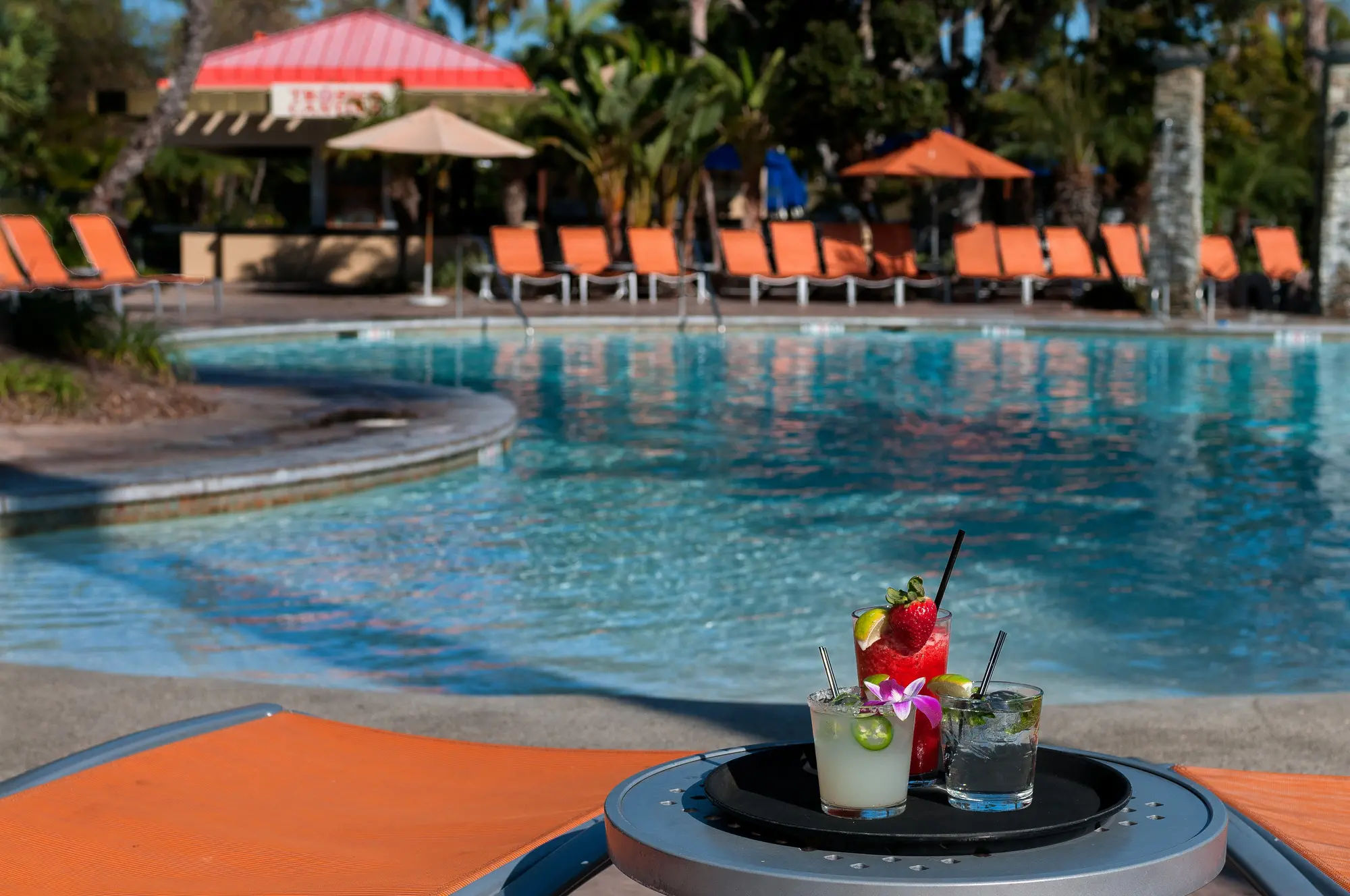 Paradise Point Resort & Spa, Pool