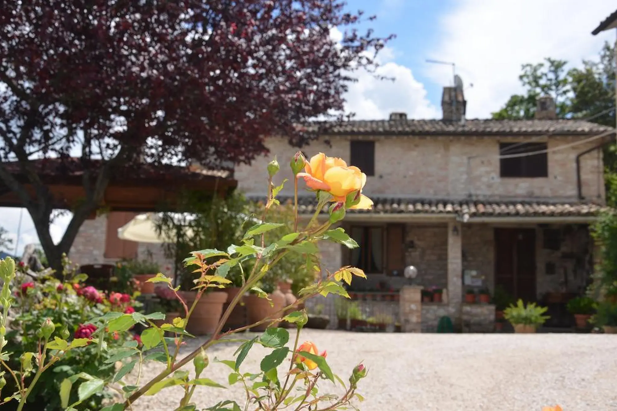 La Terrazza del Subasio, General view