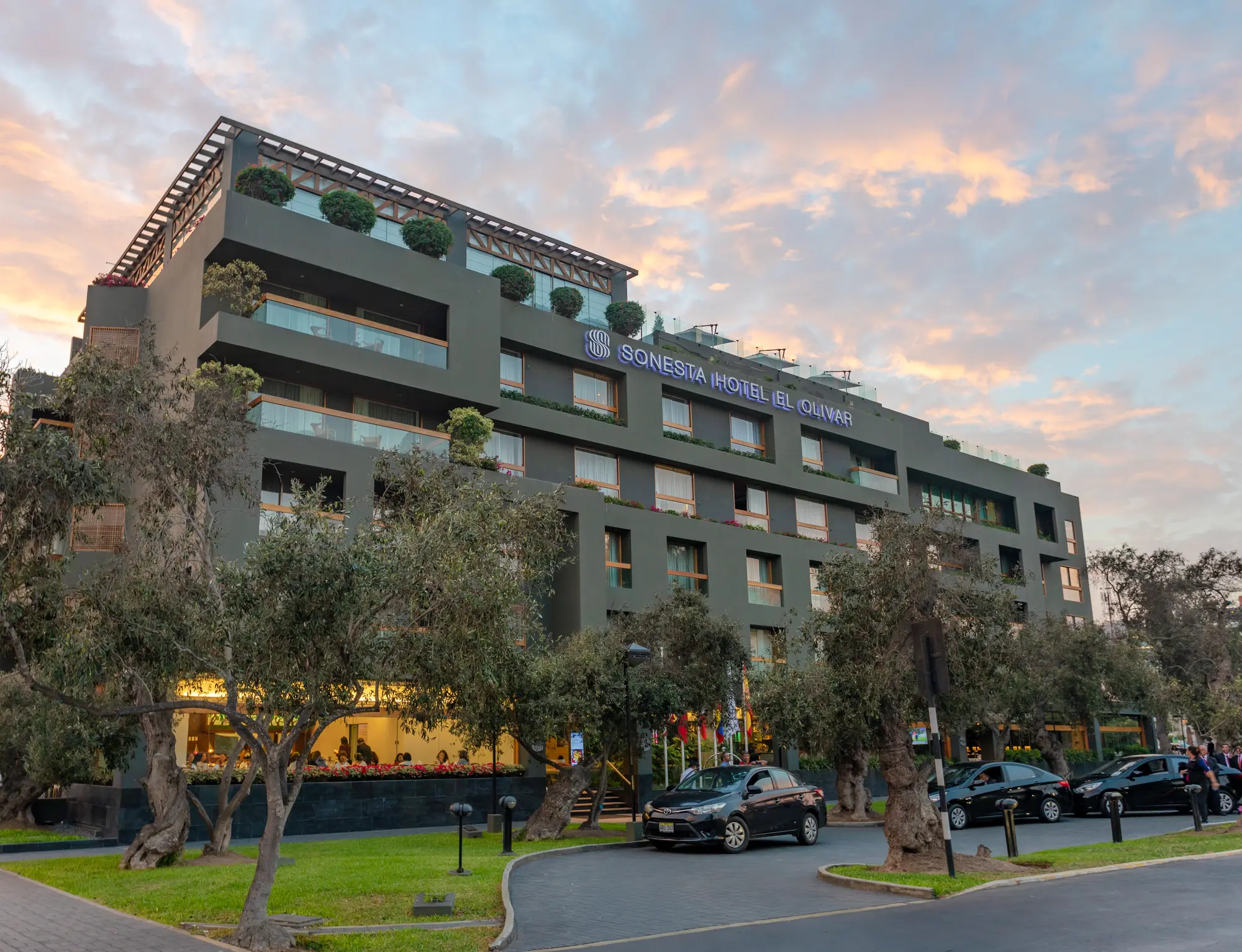 Sonesta Hotel El Olivar, General view
