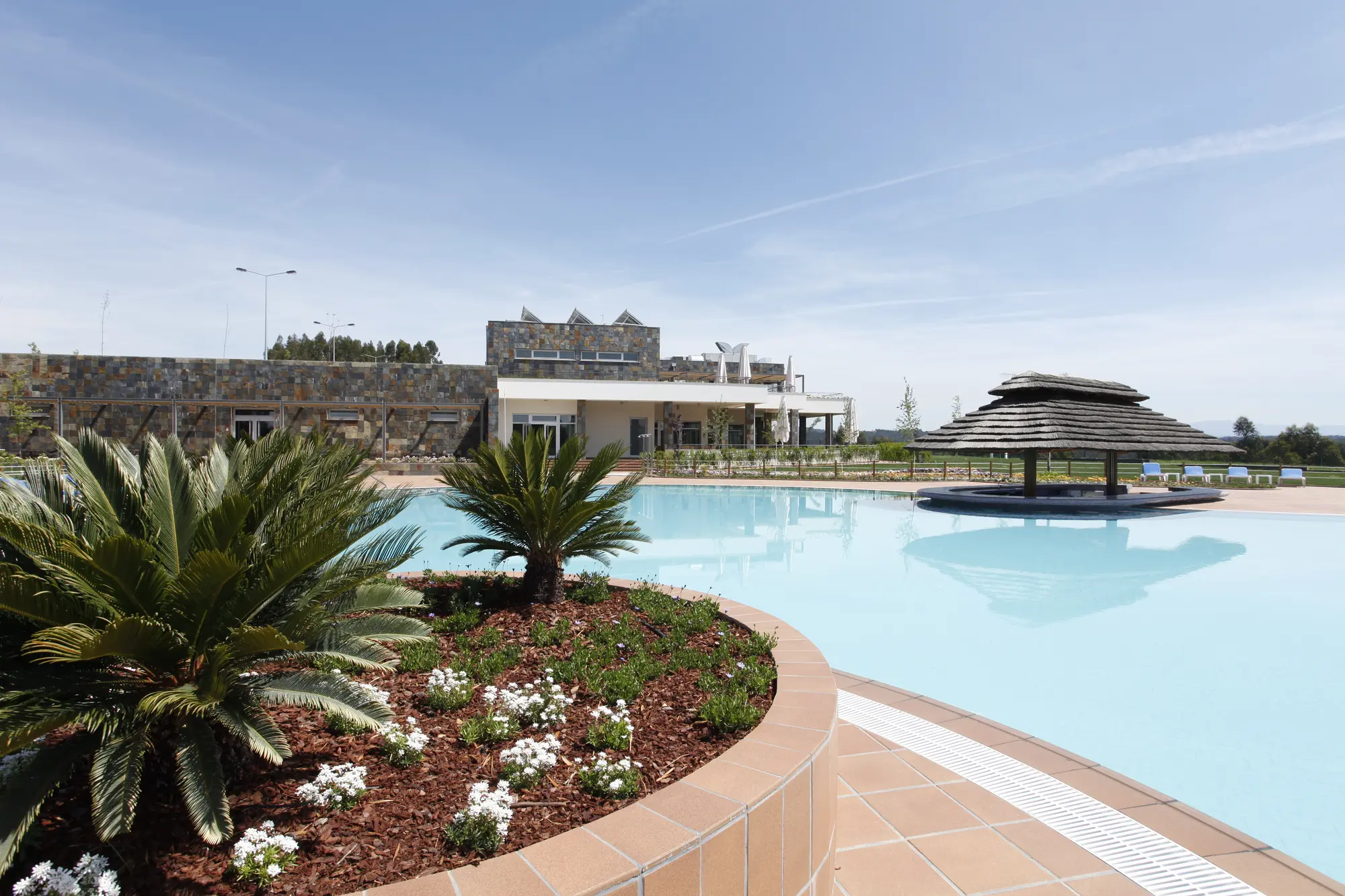 Montebelo Aguieira Lake Resort & Spa, Pool