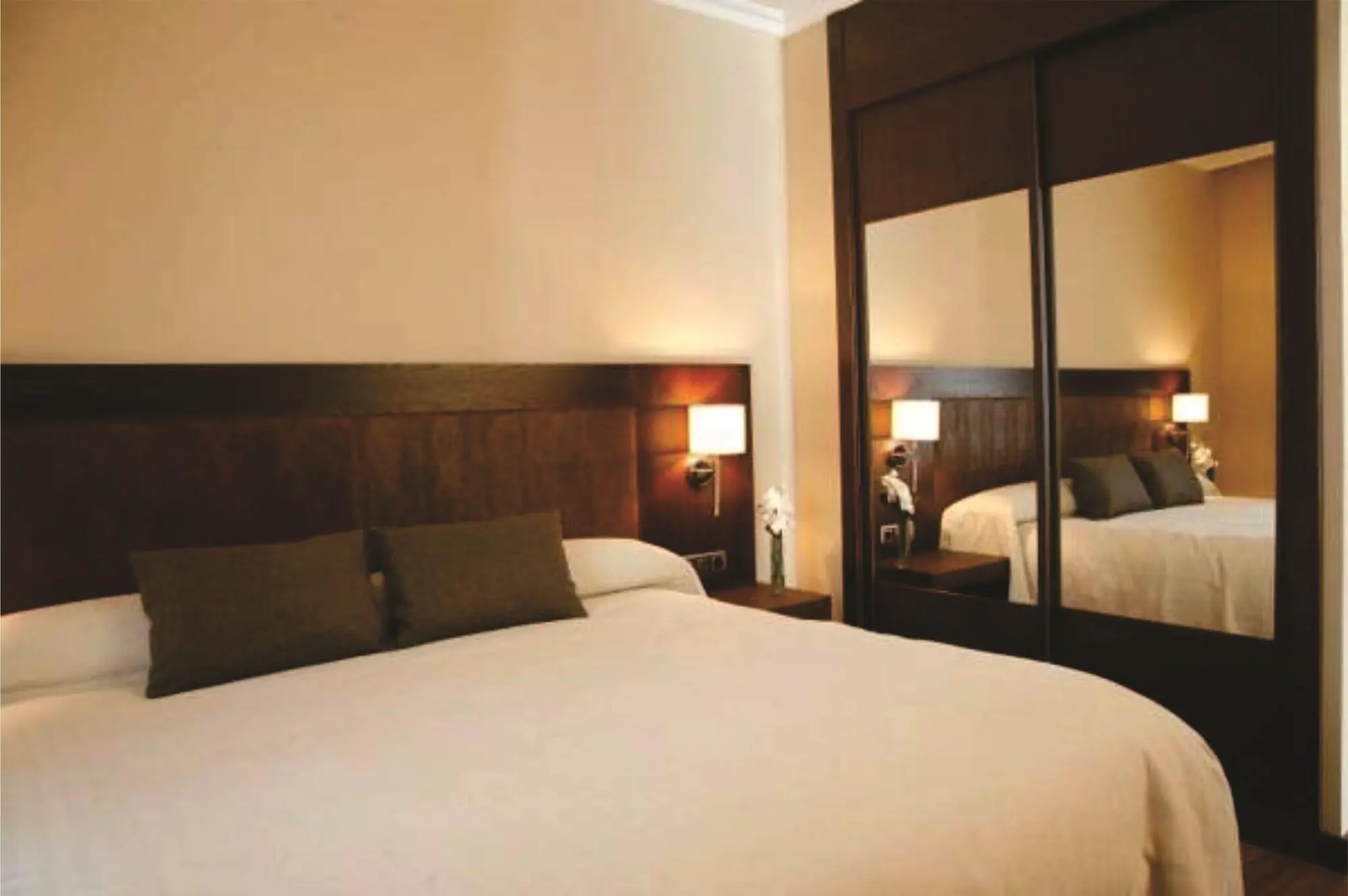 Hotel Villa De Aranda, Room