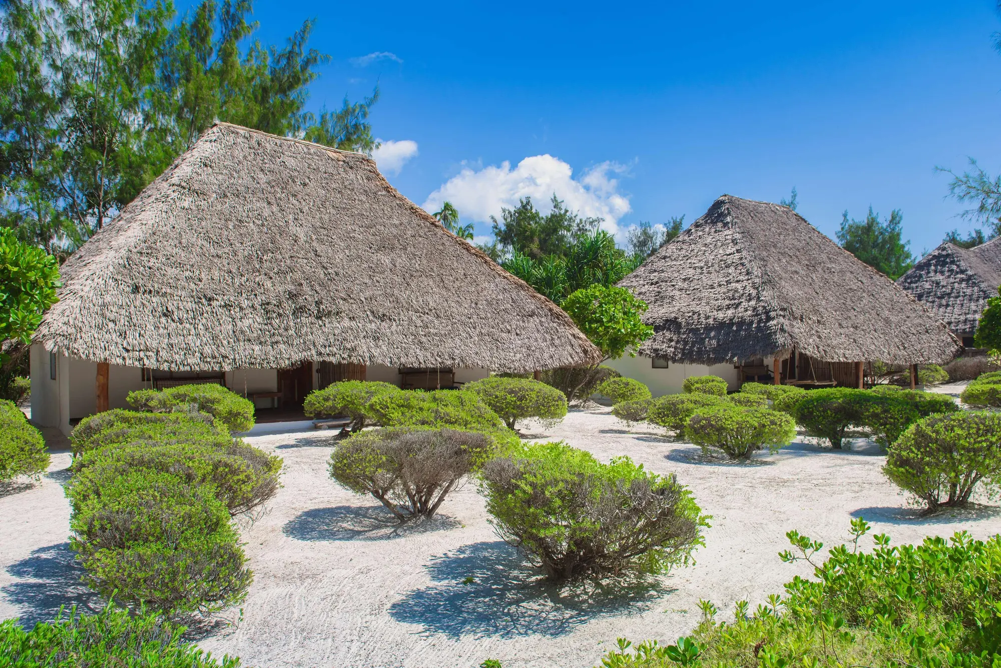 Hakuna Majiwe Beach Resort, General view