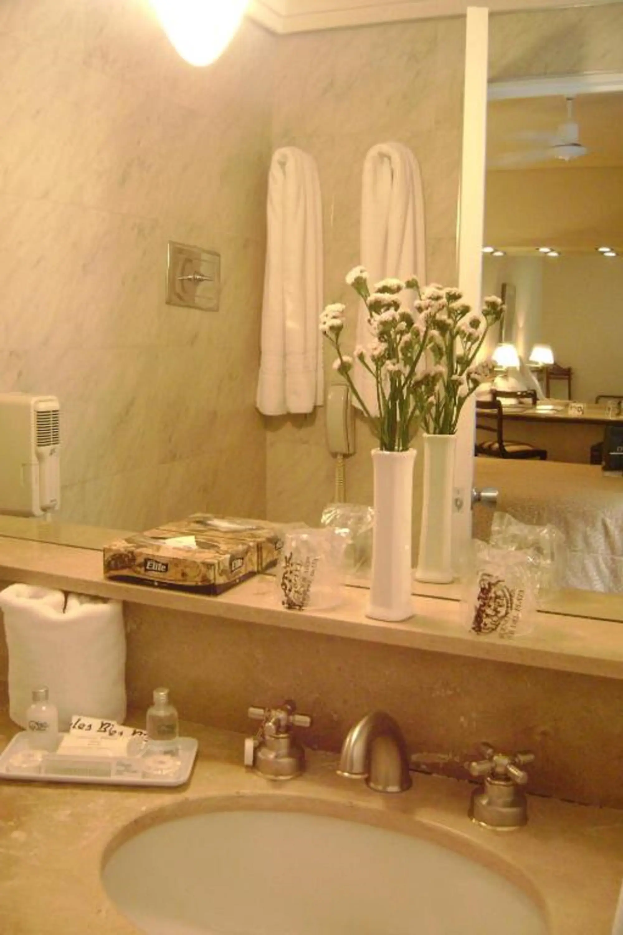 Bisonte Palace Hotel, Room