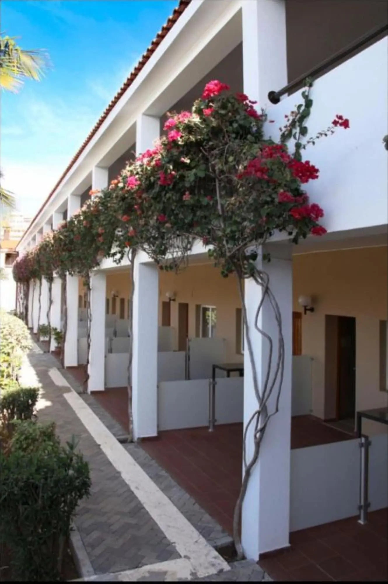 Pestana Tropico, Room