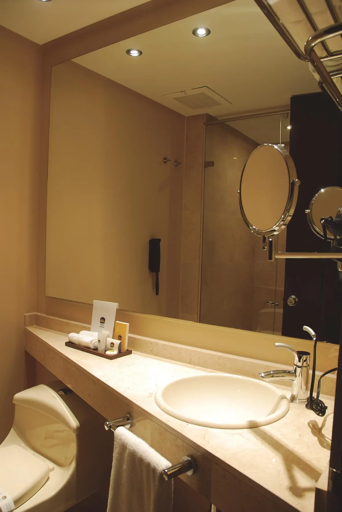Best Western Plus 93 Park Hotel, Room
