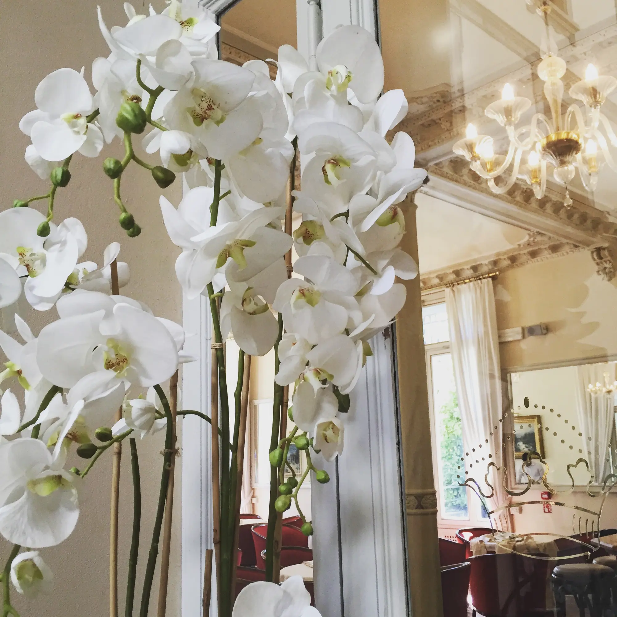 Grand Hotel Imperiale Resort & Spa, Bar