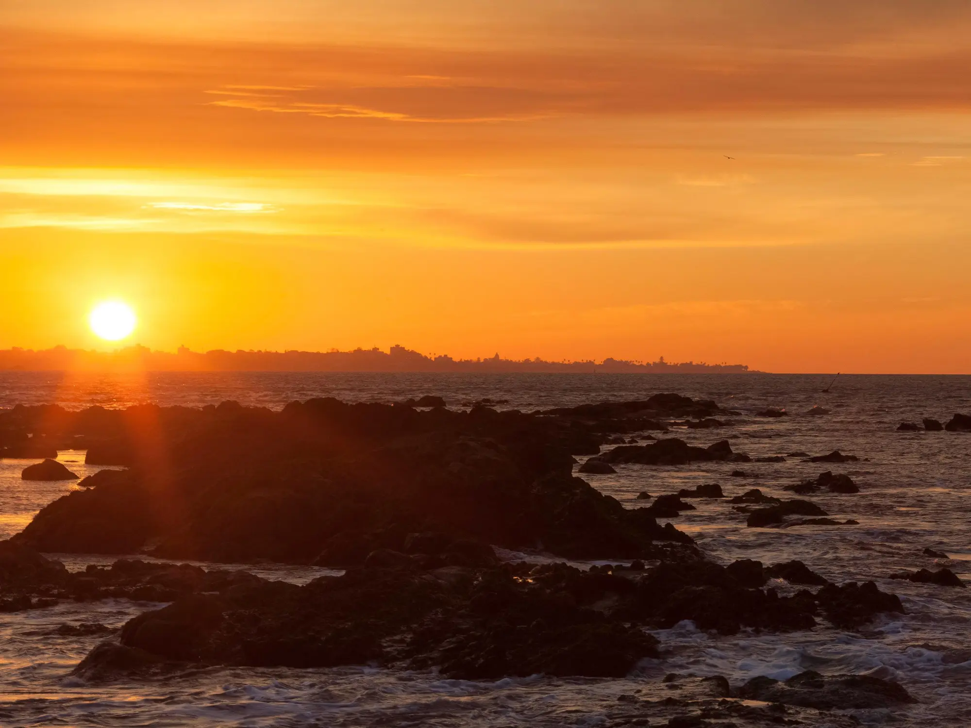Sofitel Montevideo Casino Carrasco And Spa, General view